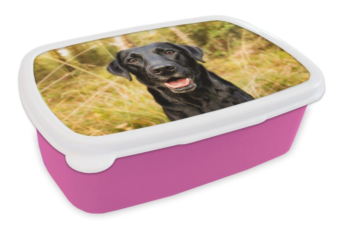 Hund, Kunststoff rosa Kunststoff, Snackbox, Kinder, für schwarzer Brotbox Erwachsene, MuchoWow (2-tlg), Lunchbox Mädchen, Glücklicher Brotdose