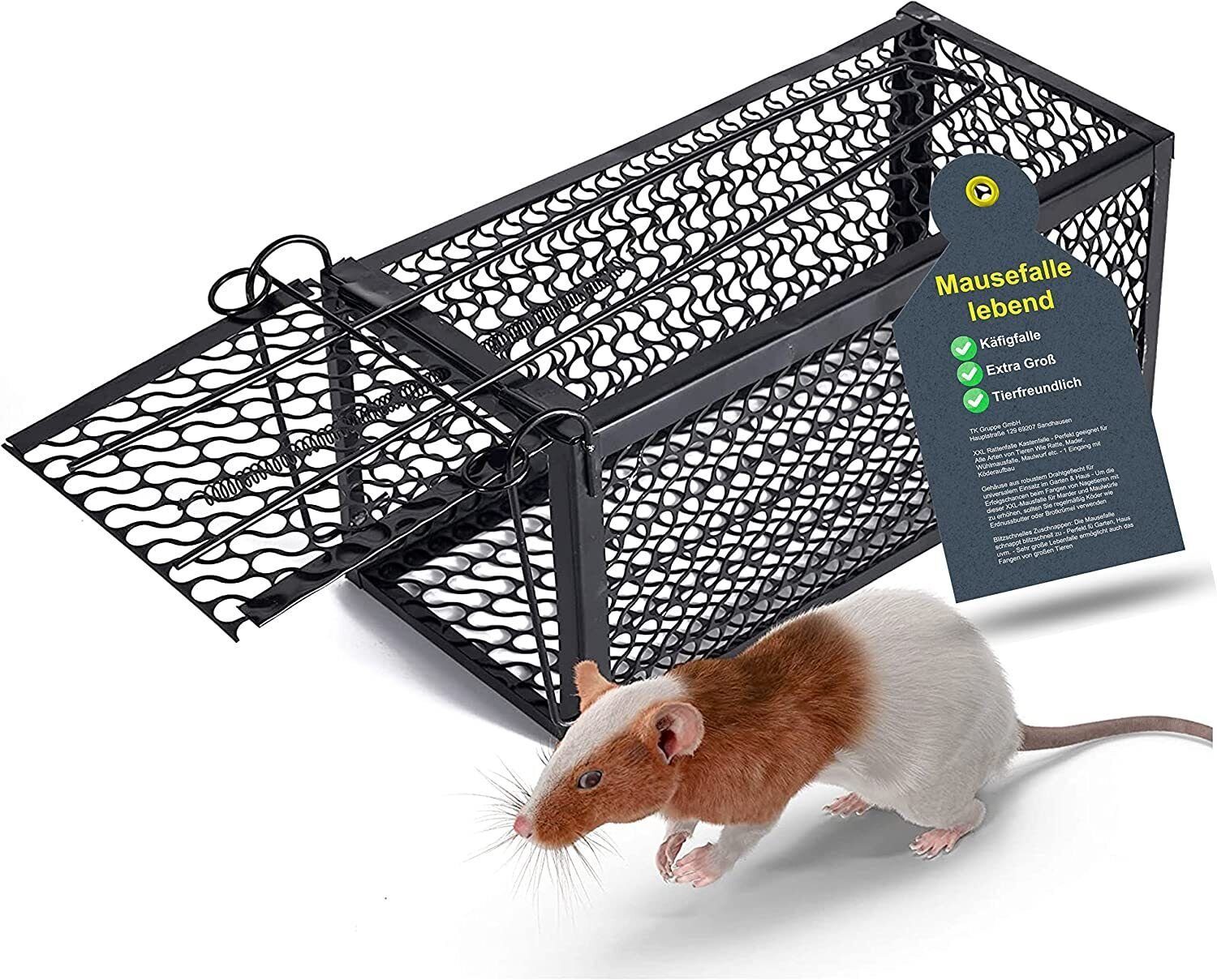 Fallax® Lebendfalle 1x Mausefalle Rattenfalle lebend - 25 cm Käfigfalle  wiederverwendbar