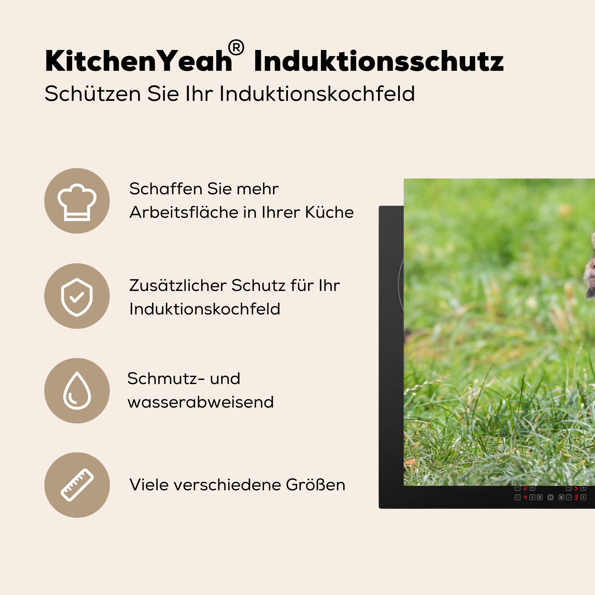 MuchoWow Herdblende-/Abdeckplatte Affe - Baby Schutz - cm, für Vinyl, Ceranfeldabdeckung die Induktionskochfeld tlg), (1 81x52 küche, Gras