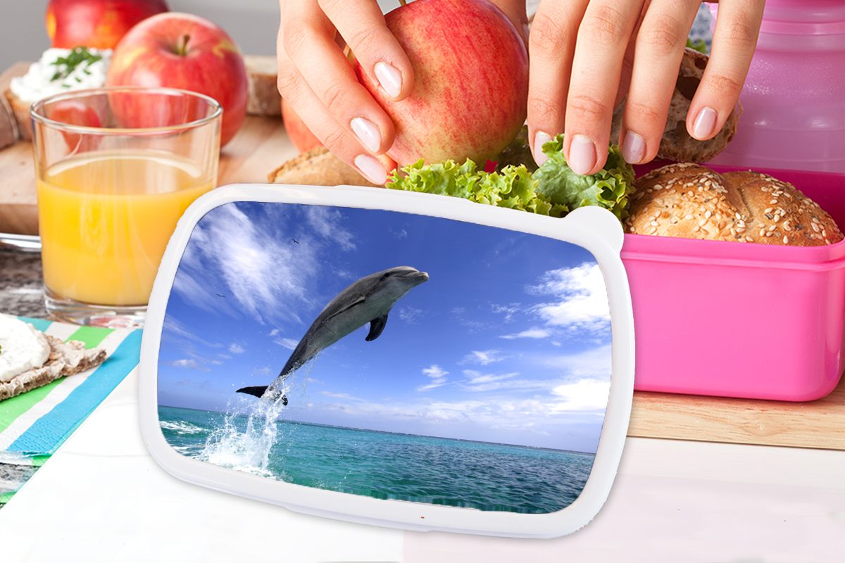 - Erwachsene, rosa - Kinder, für Delfin MuchoWow Snackbox, Meer Himmel, Brotbox Kunststoff, Mädchen, Lunchbox Brotdose (2-tlg), Kunststoff