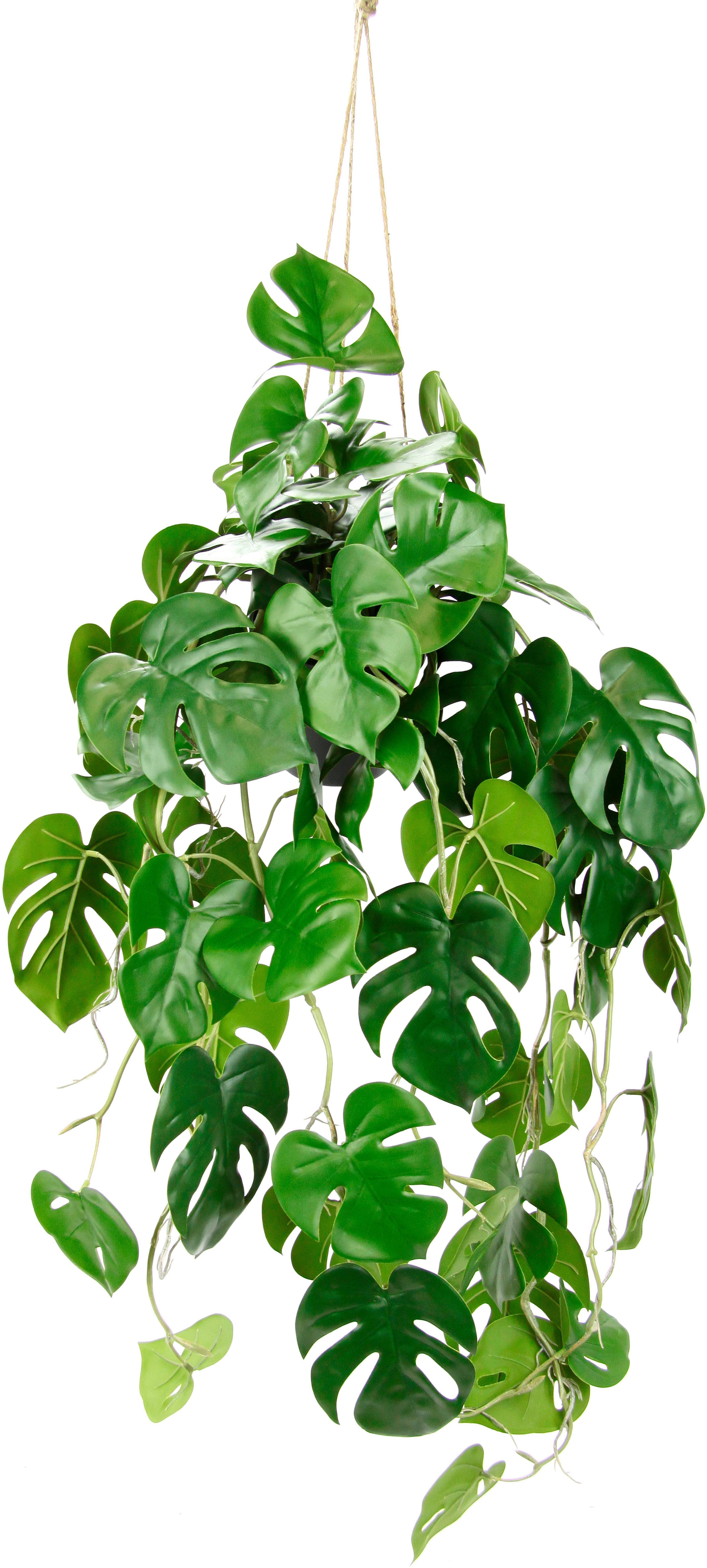 Kunstpflanze Künstliche Monstera Hängende Splitphilo Hängeampel, I.GE.A., Höhe 87 cm, Zimmerpflanze Busch Dekopflanze Grünpflanze Seidenpflanze Dekopflanze