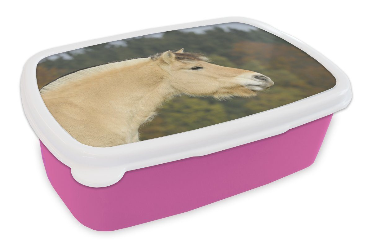 MuchoWow Lunchbox Nahaufnahme eines hellbraunen Fjordpferdes, Kunststoff, (2-tlg), Brotbox für Erwachsene, Brotdose Kinder, Snackbox, Mädchen, Kunststoff rosa