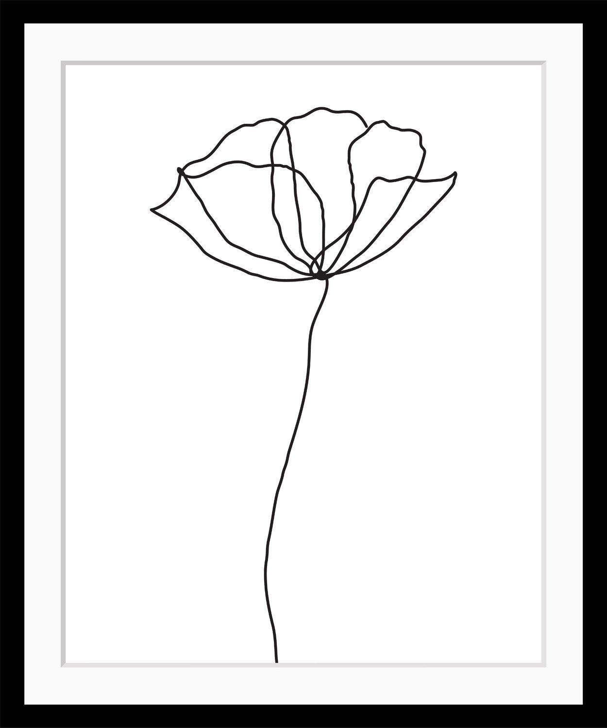 queence Bild Susanne, Blumen, Blumenbilder, Kunst, Pflanzen, Pflanzenbilder, Schwarz-Weiß, Rose, gerahmt