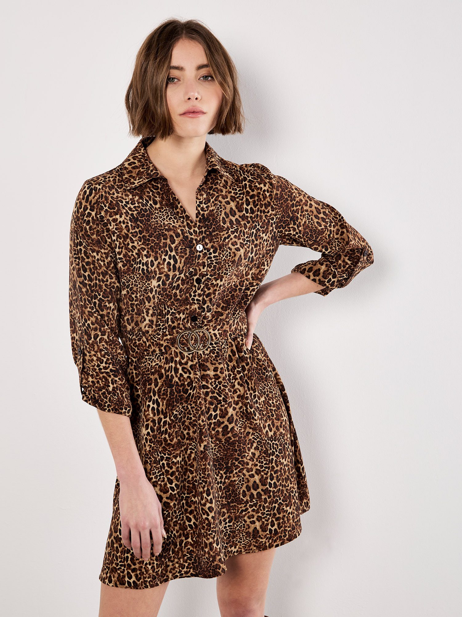 Apricot Hemdblusenkleid Ombrekleid mit Animalprint (2-tlg) mit Taillengürte günstig online kaufen