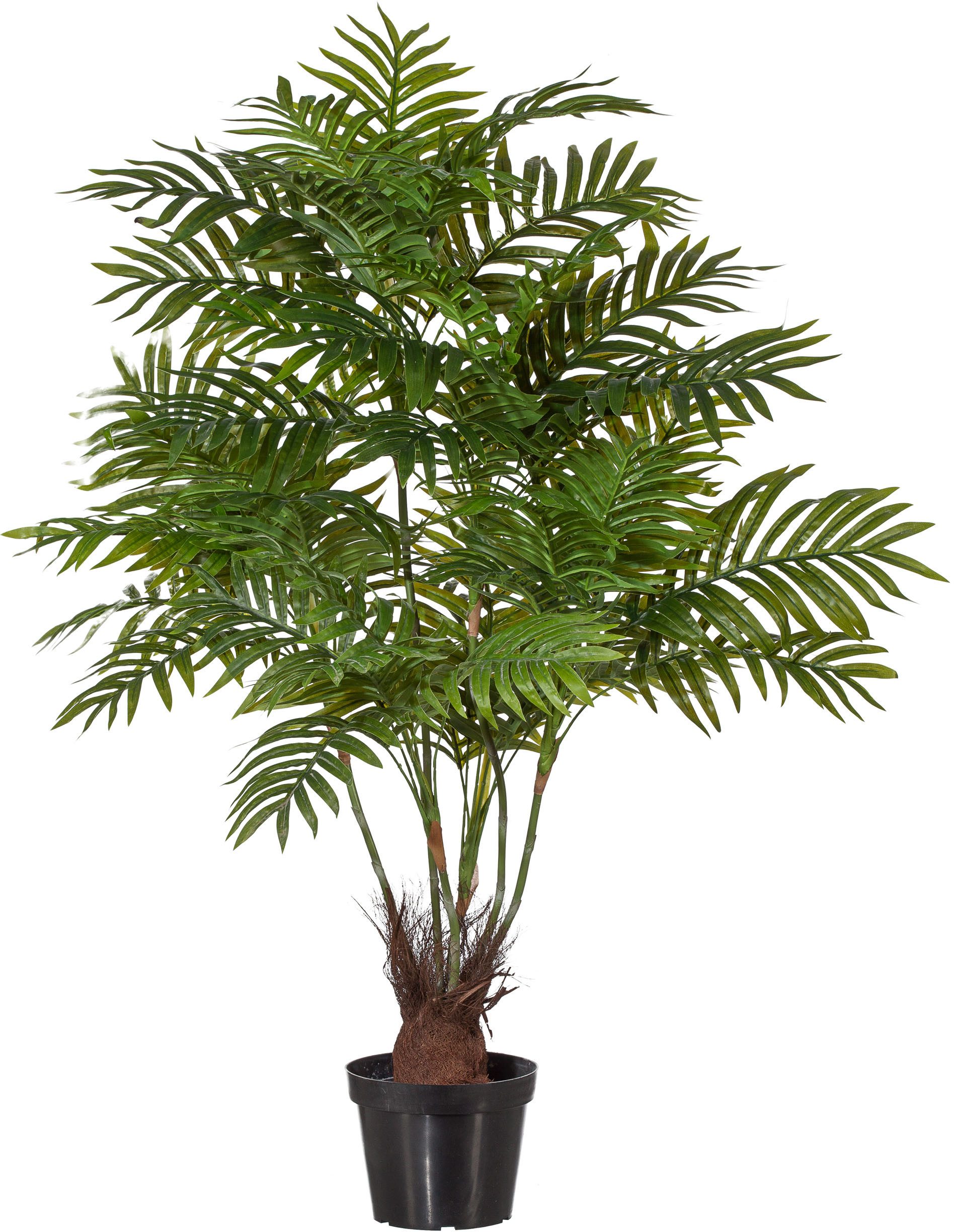 Kunstpalme Palme, Creativ green, Höhe 110 cm günstig online kaufen