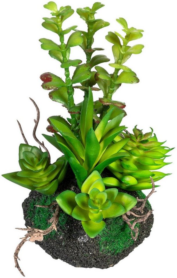 Künstliche Zimmerpflanze »Sukkulentenarrangement« Sukkulente, Creativ green, Höhe 16 cm, 4er Set-kaufen
