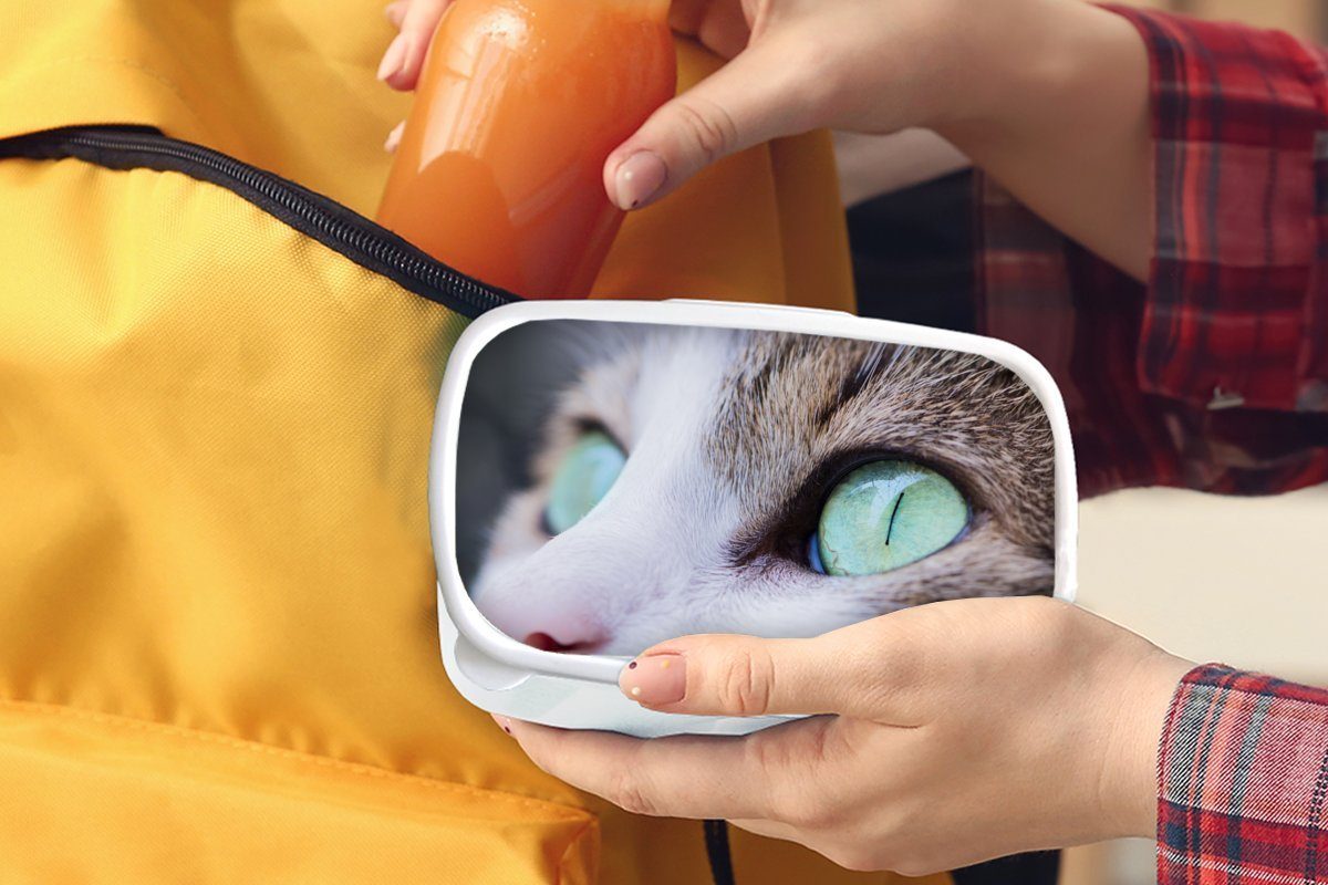 Kinder Kunststoff, Brotdose, und - und Brotbox (2-tlg), für Augen, Katze für Jungs Mädchen MuchoWow Lunchbox weiß - Erwachsene, Licht