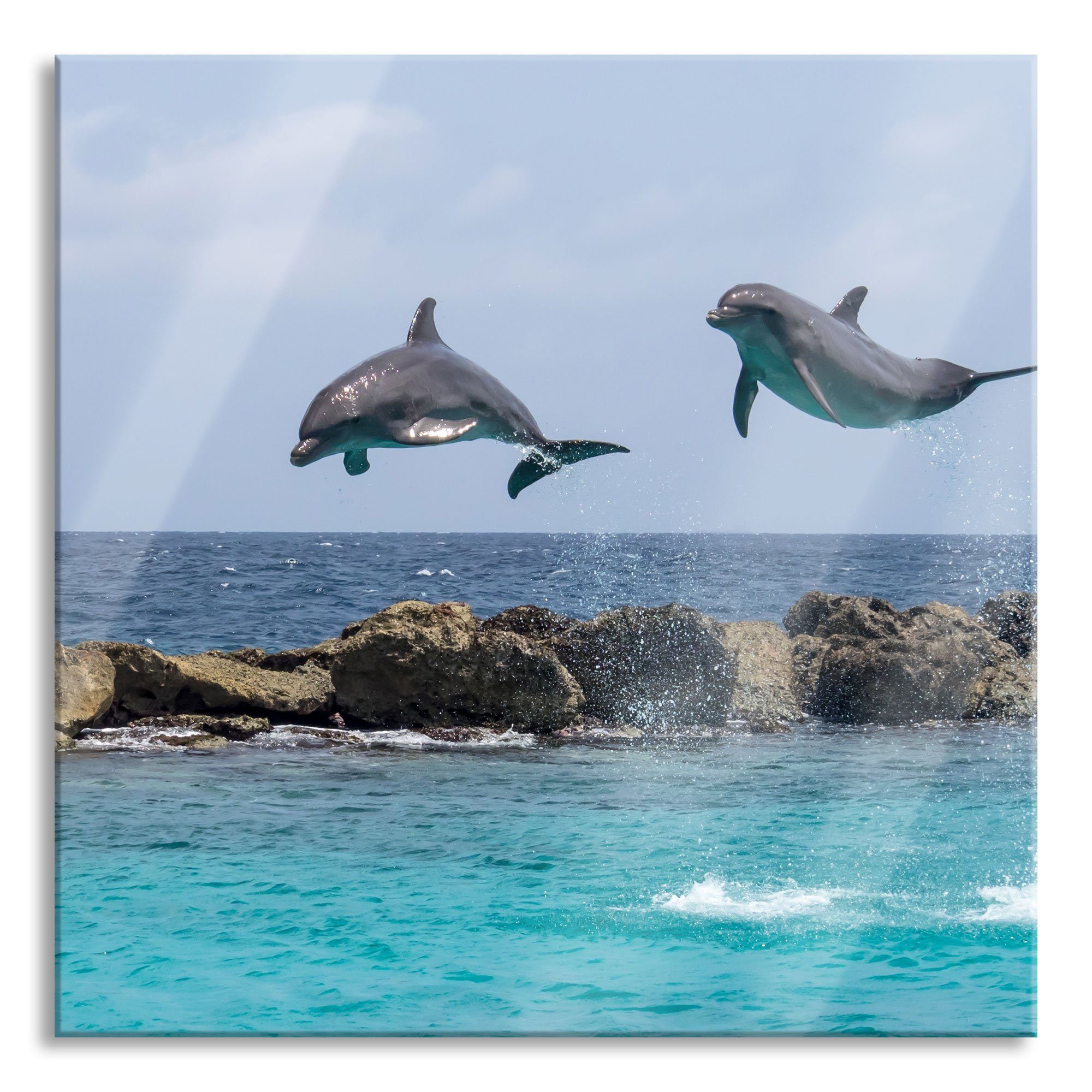 inkl. aus Glasbild Glasbild St), Delphine Abstandshalter (1 springende und Aufhängungen Echtglas, Pixxprint springende Delphine,