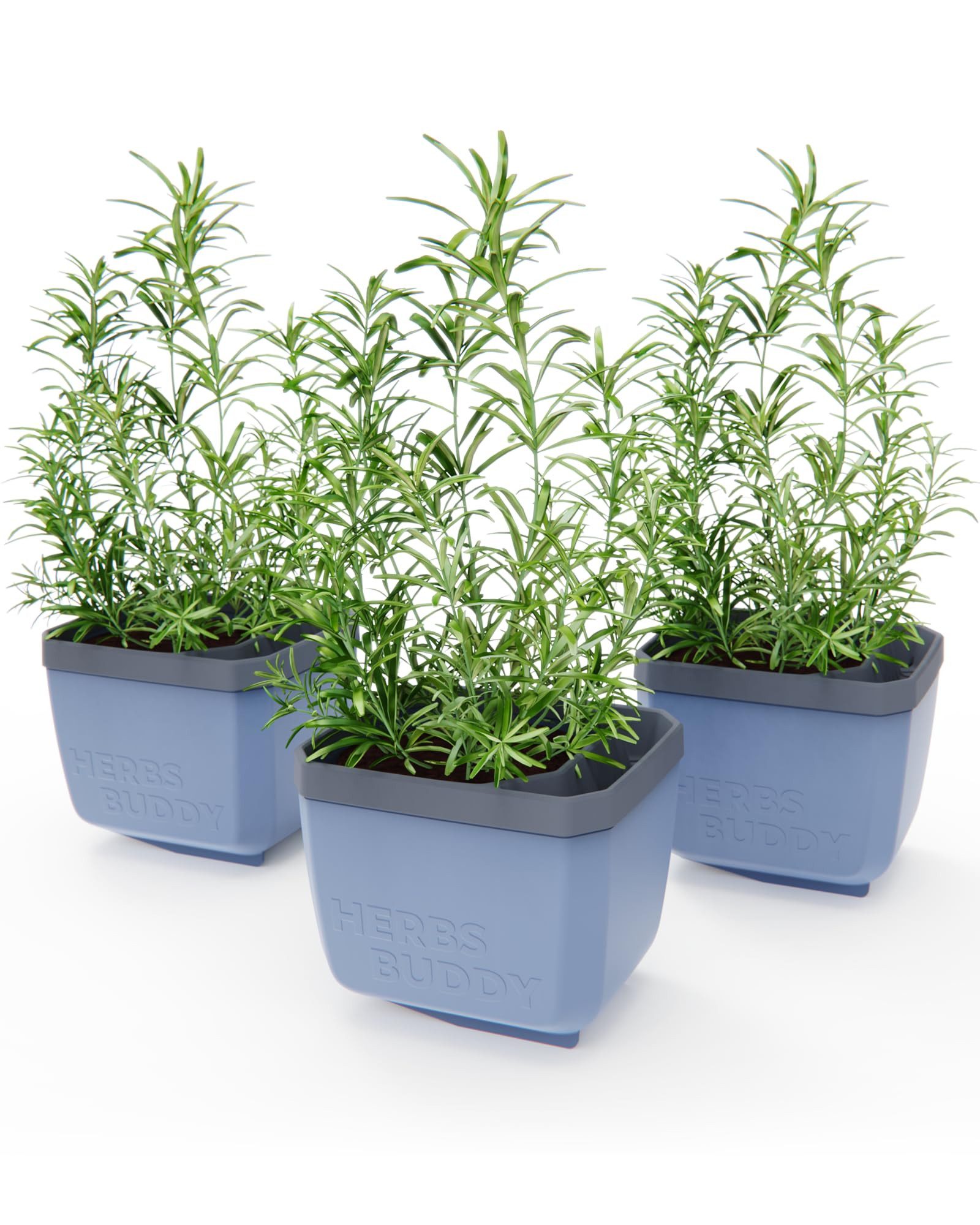 Gusta Garden Kräutertopf KRÄUTERFREUND (3er Set, günstig online kaufen