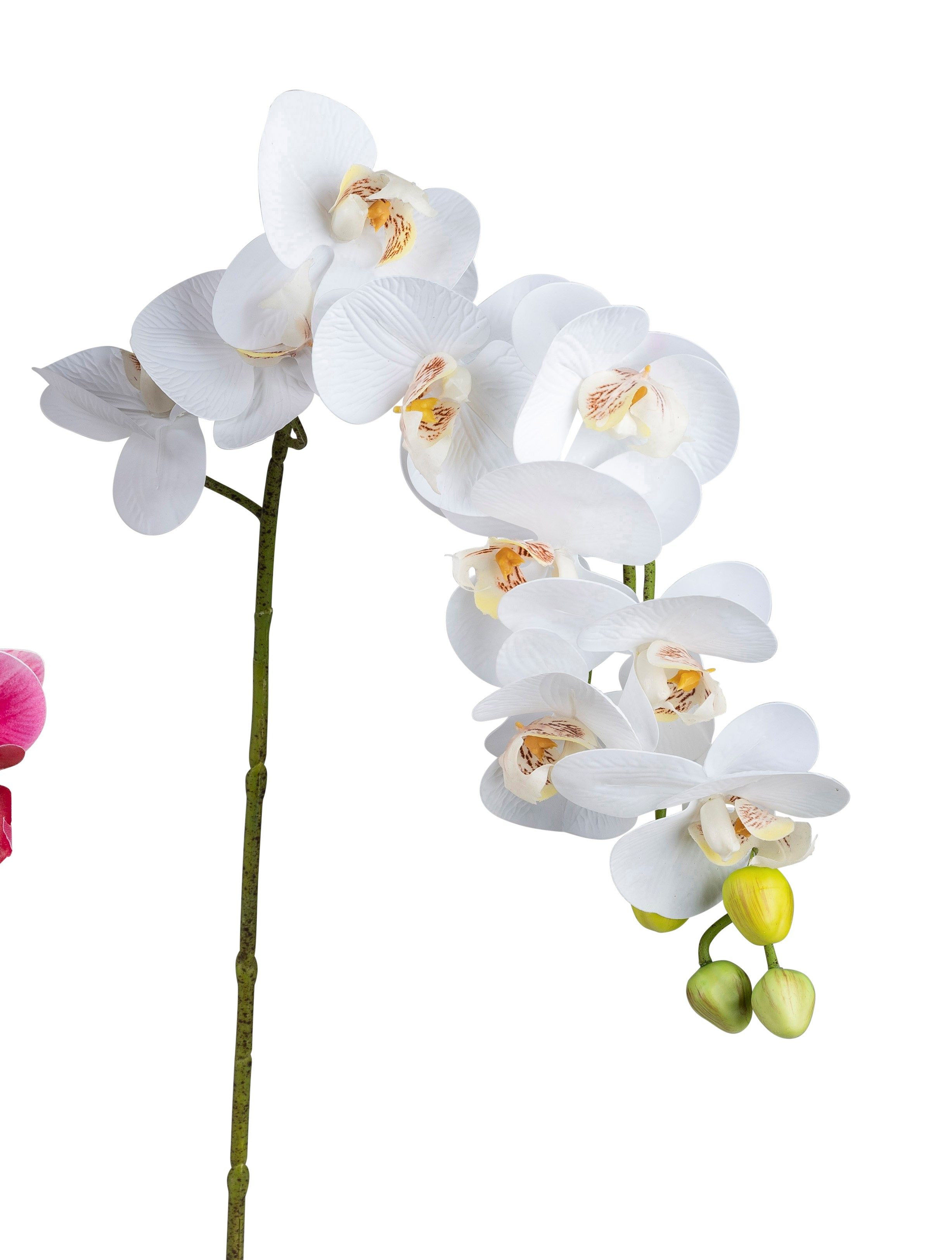 Kunstblume, formano, Höhe 80 cm günstig online kaufen