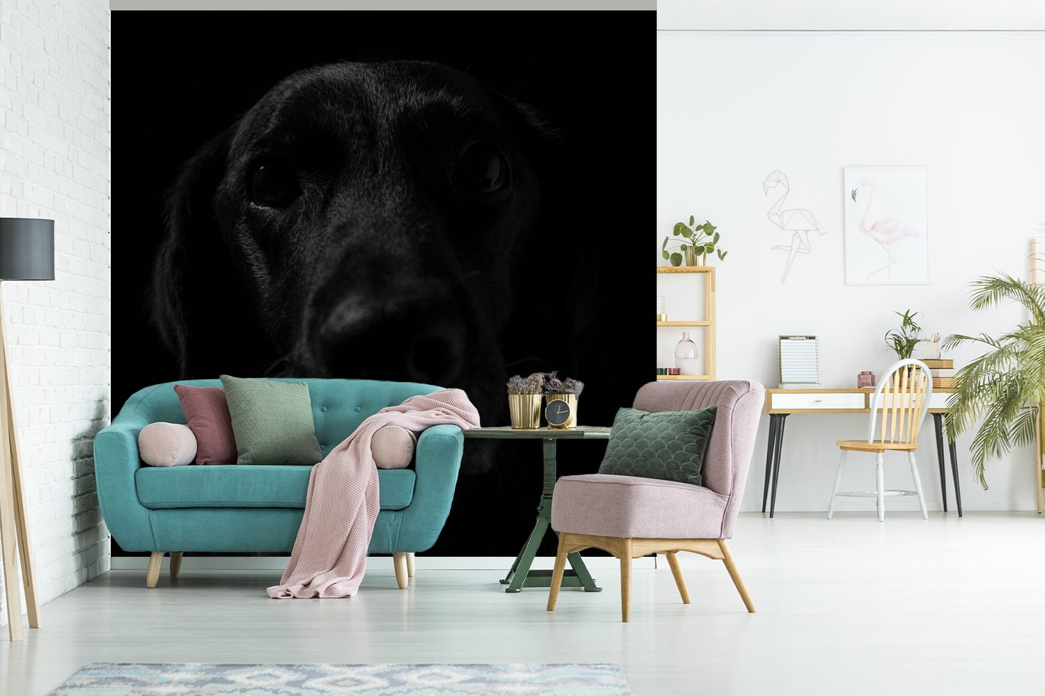 St), Vinyl MuchoWow Hund für oder Matt, Fototapete Labrador, Tapete - Schwarz Schlafzimmer, (5 bedruckt, Wandtapete - Wohnzimmer