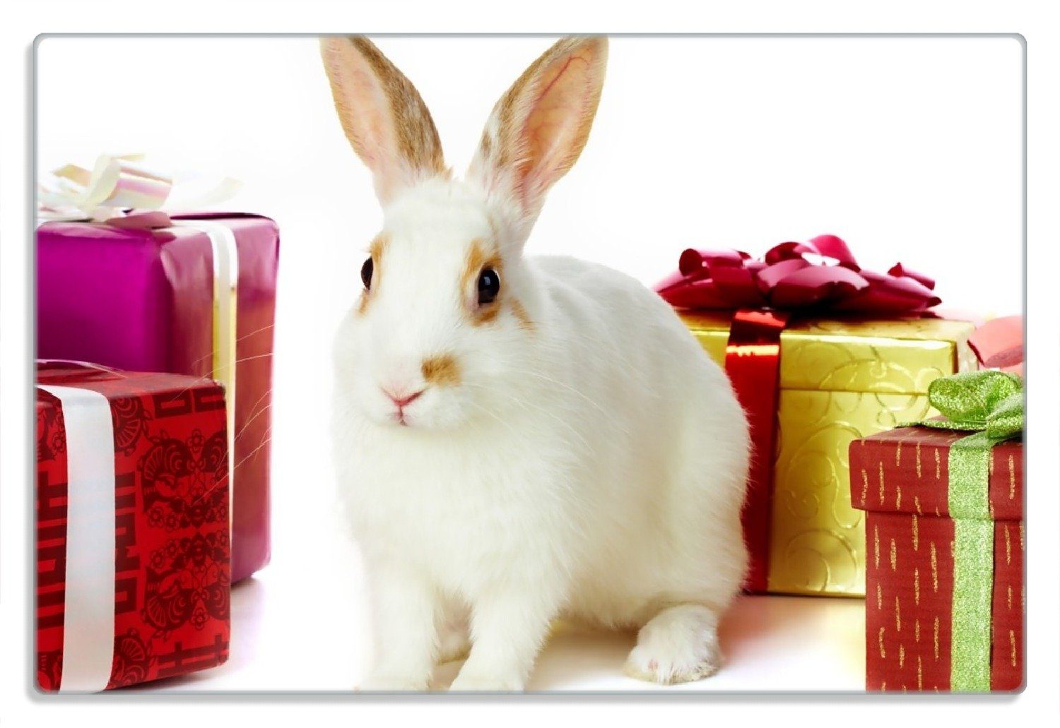 Wallario Frühstücksbrett Süßes Kaninchen rutschfester mit 20x30cm 4mm, Geschenken, Gummifüße 1-St), (inkl. bunten