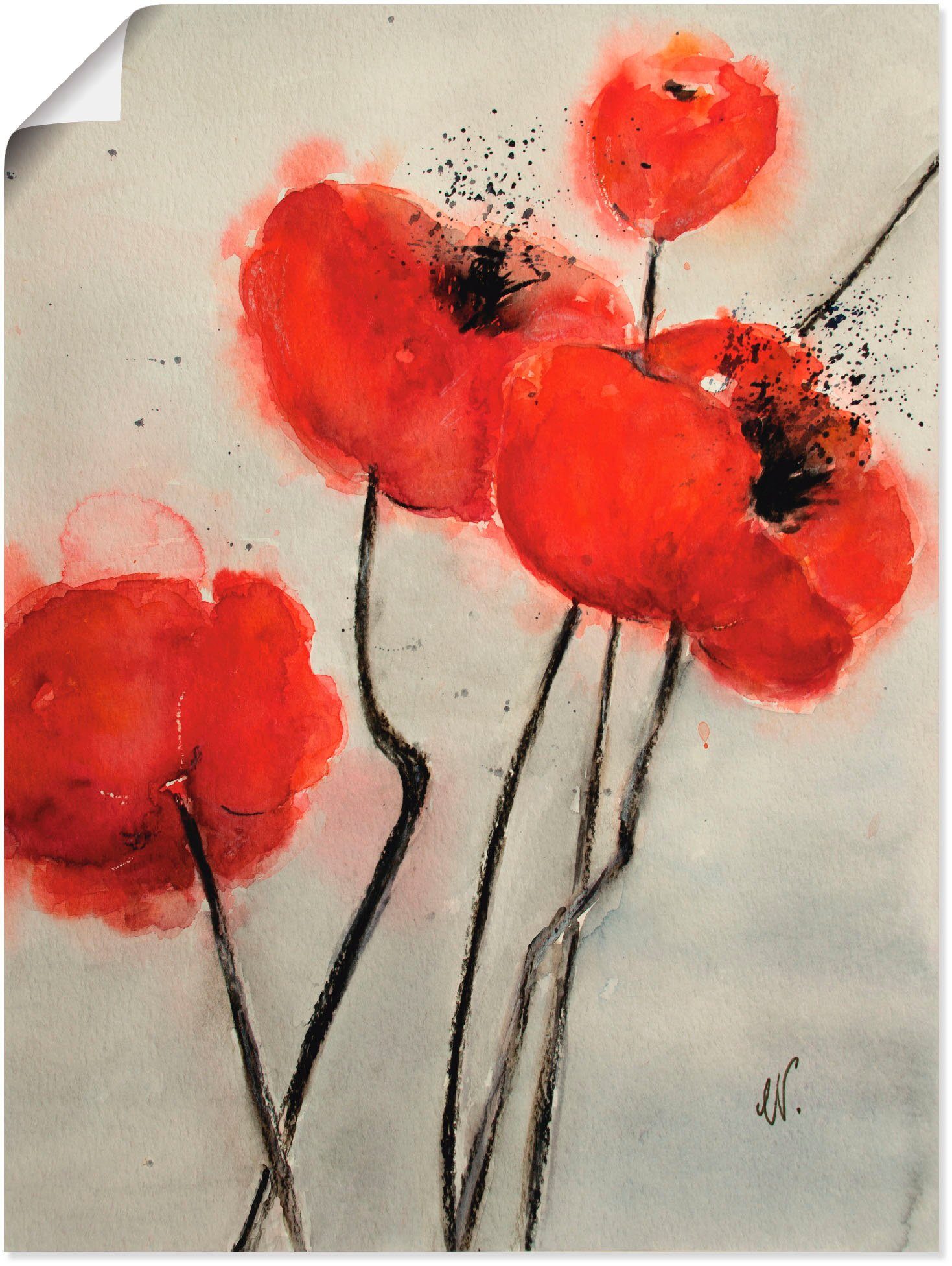 Poster St), in Größen oder Alubild, Wandaufkleber versch. als Blumen Mohn, Artland (1 Roter Wandbild Leinwandbild,