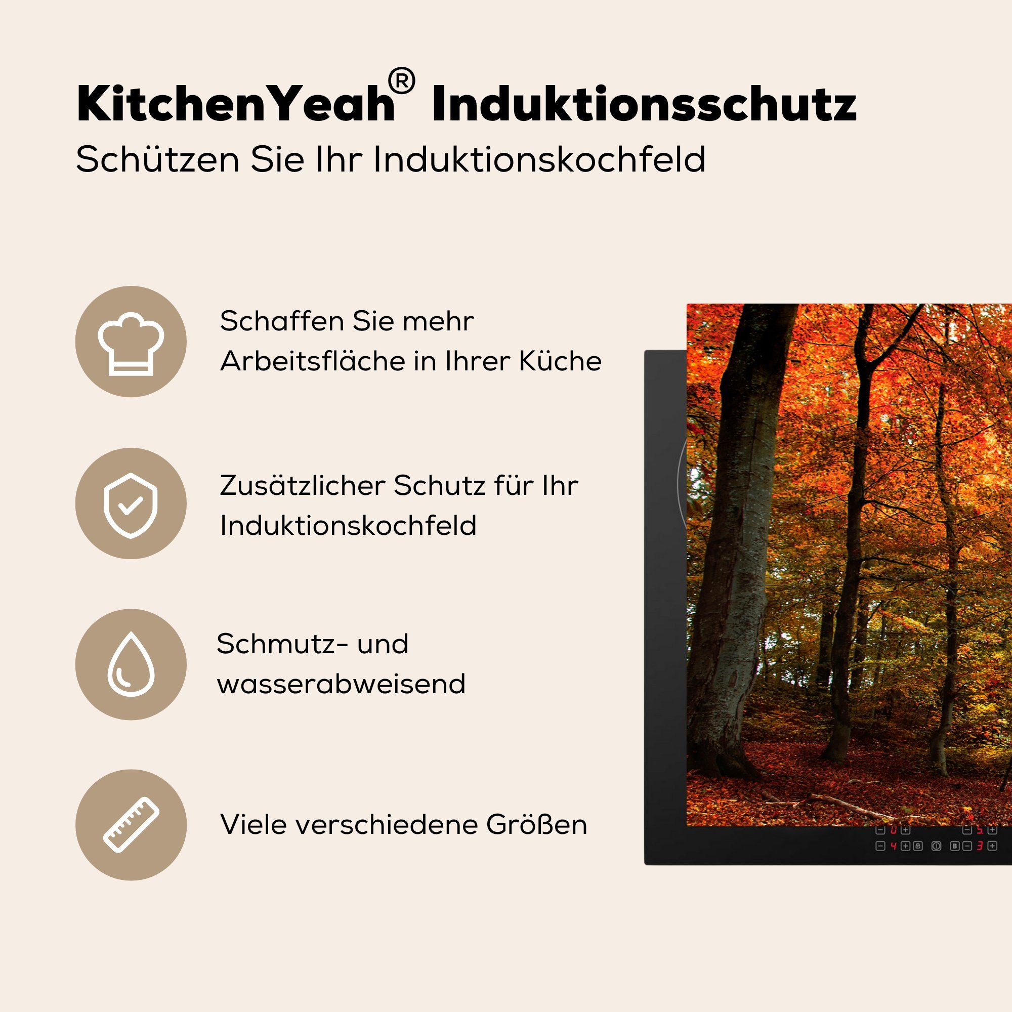 küche, (1 Orangenbuchenwald, tlg), Schutz Induktionskochfeld die MuchoWow cm, 81x52 Herdblende-/Abdeckplatte Vinyl, Ein Ceranfeldabdeckung für