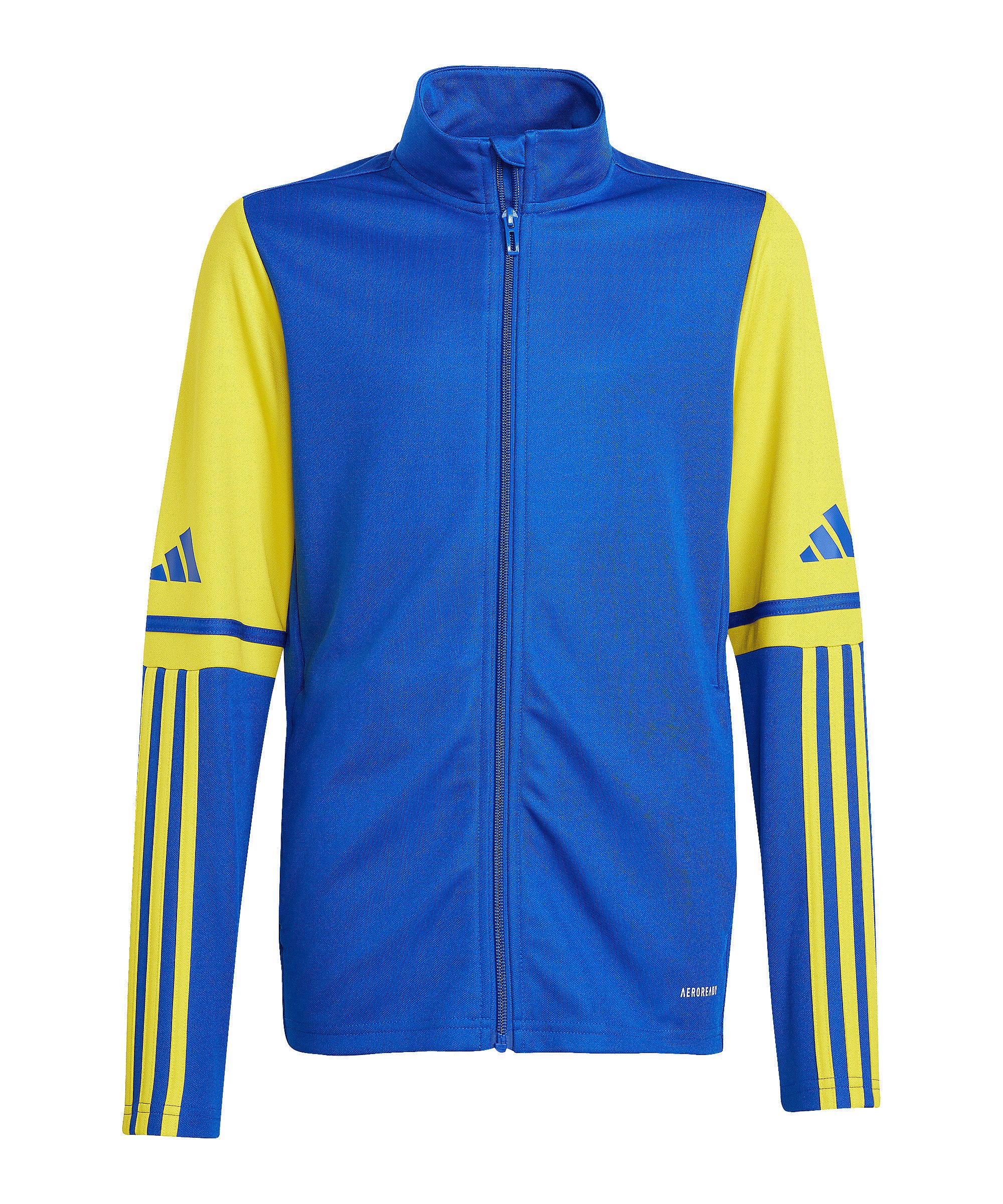 Team Royal Blue/Team Yellow