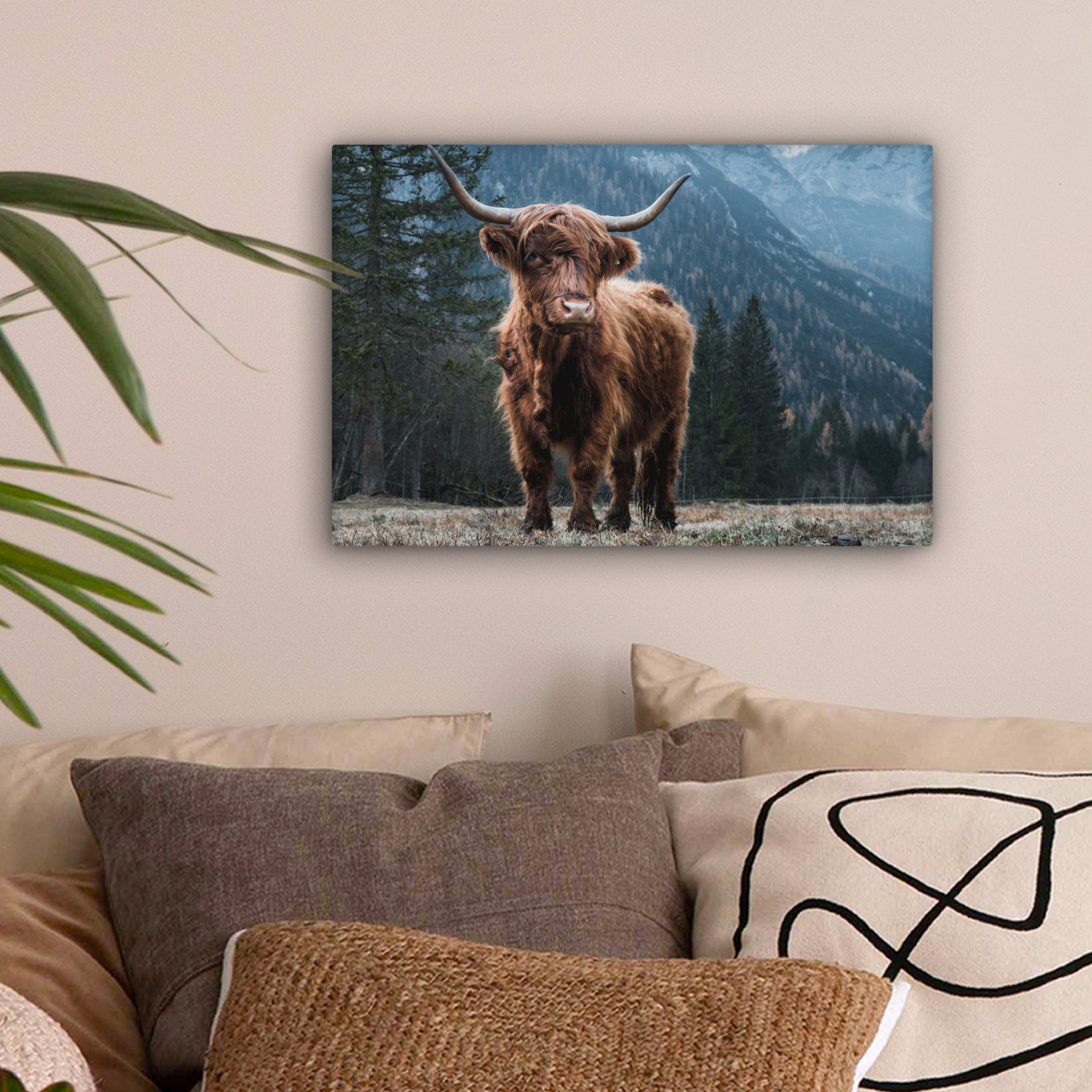OneMillionCanvasses® Leinwandbild Schottische Highlander - Berg - Landschaf günstig online kaufen
