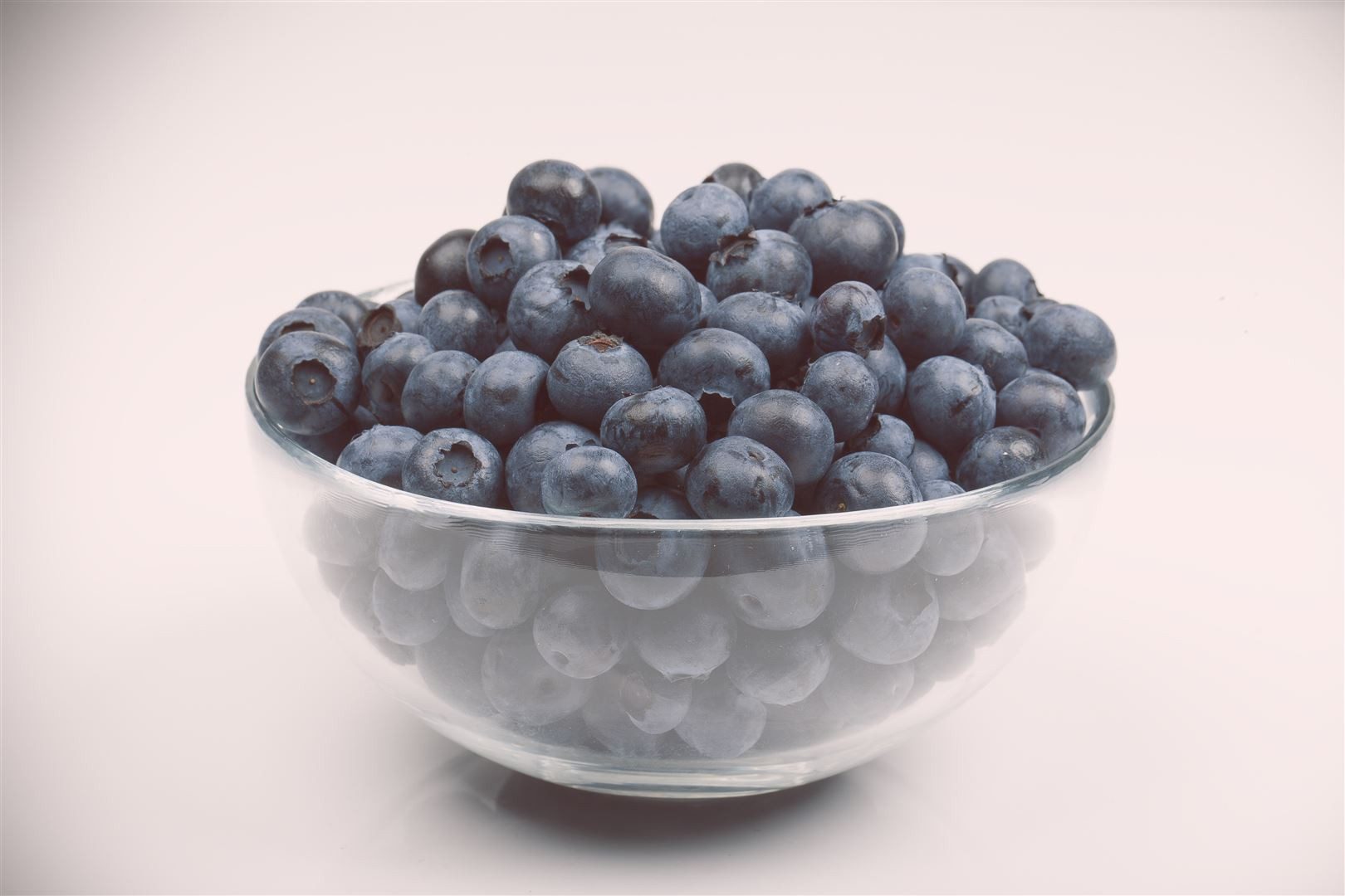 Pflanzen für Dich Obstpflanze Vaccinium corymbosum, 1 St., Amerikanische Heidelbeere, Kulturheidelbeere, Blaubeere, blaue Beeren, herbstfärbung