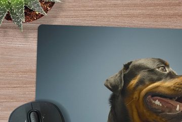 MuchoWow Gaming Mauspad Studiofoto eines Rottweilers auf blauem Hintergrund (1-St), Mousepad mit Rutschfester Unterseite, Gaming, 40x40 cm, XXL, Großes