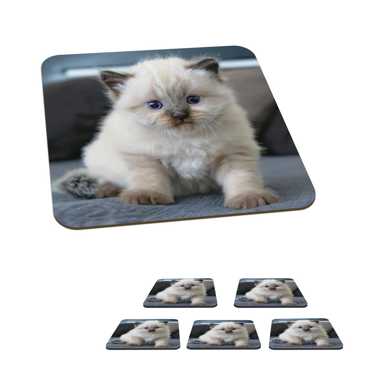 MuchoWow Glasuntersetzer Kätzchen - Katze - Tier, Zubehör für Gläser, 6-tlg., Glasuntersetzer, Tischuntersetzer, Korkuntersetzer, Untersetzer, Tasse