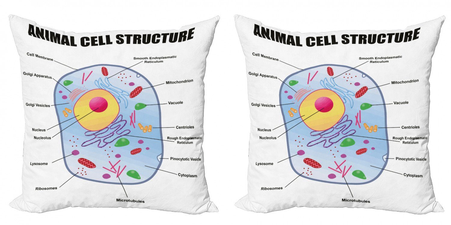 Cell (2 Kissenbezüge Lehrreich Doppelseitiger Accent Stück), Animal Abakuhaus Digitaldruck, Study Modern
