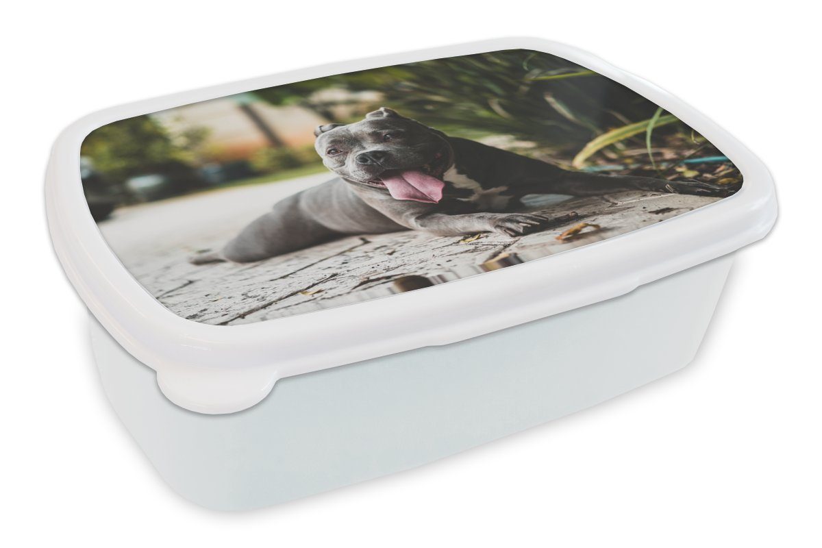 MuchoWow Lunchbox Hund - Zunge - Steine, Kunststoff, (2-tlg), Brotbox für Kinder und Erwachsene, Brotdose, für Jungs und Mädchen weiß