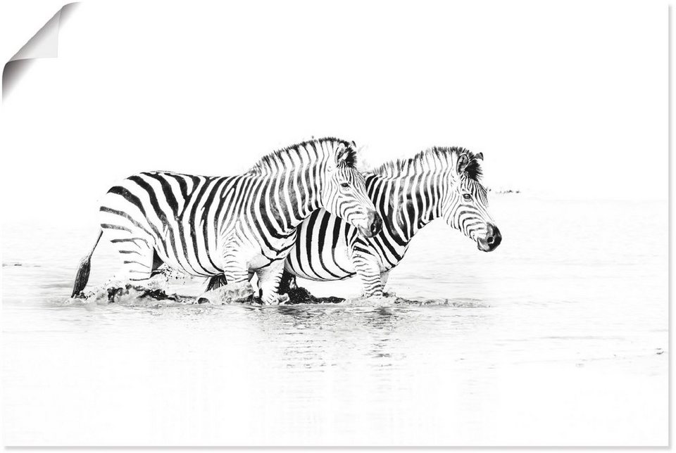 Artland Wandbild Zebras parallel im Wasser, Zebra Bilder (1 St), als Alubild,  Leinwandbild, Wandaufkleber oder Poster in versch. Größen