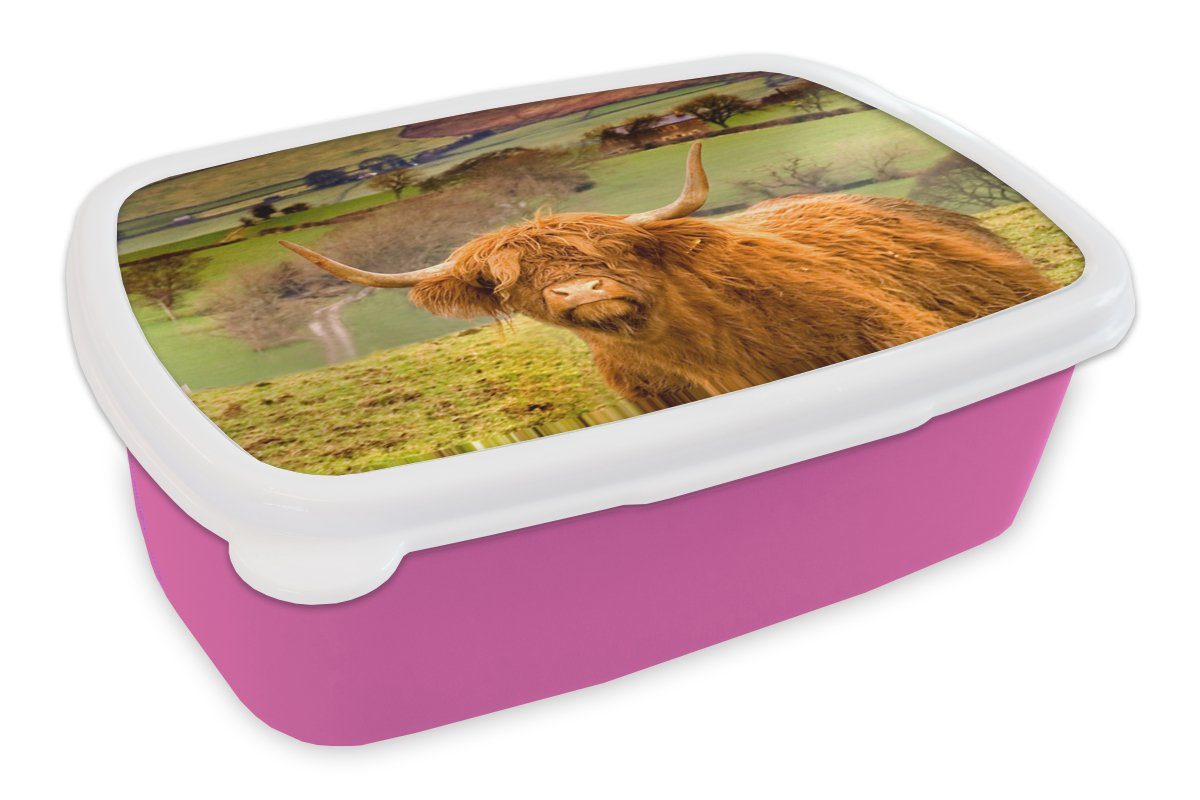 MuchoWow Lunchbox Schottischer Highlander - Berg - Herbst, Kunststoff, (2-tlg), Brotbox für Erwachsene, Brotdose Kinder, Snackbox, Mädchen, Kunststoff rosa