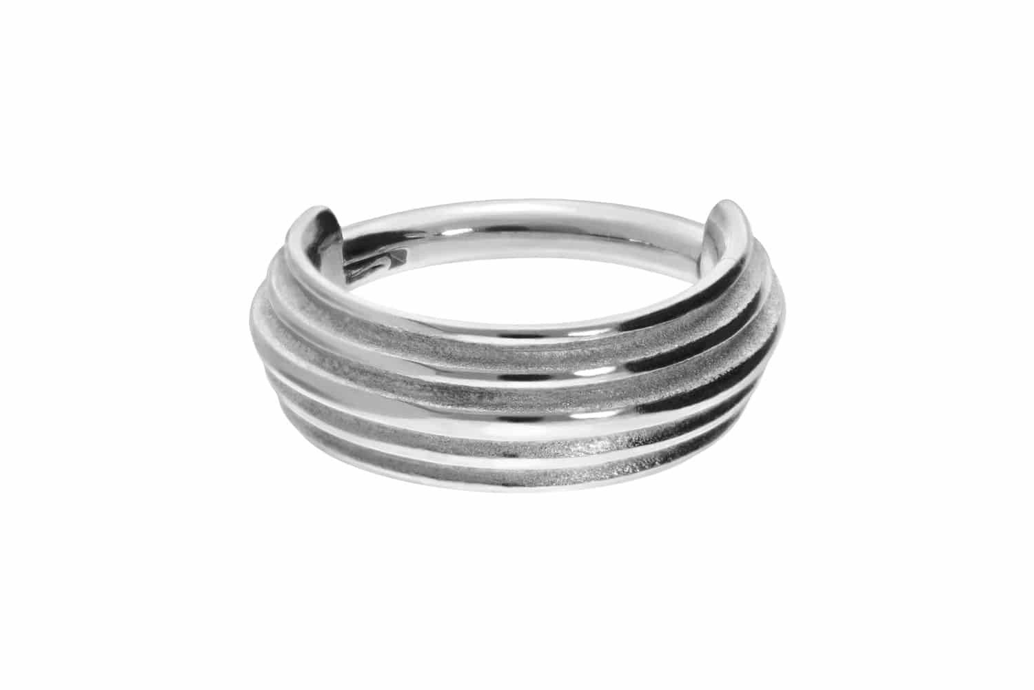 PIERCINGLINE Nasenpiercing Chirurgenstahl Segmentring Clicker 5 RINGE Ohrpi günstig online kaufen