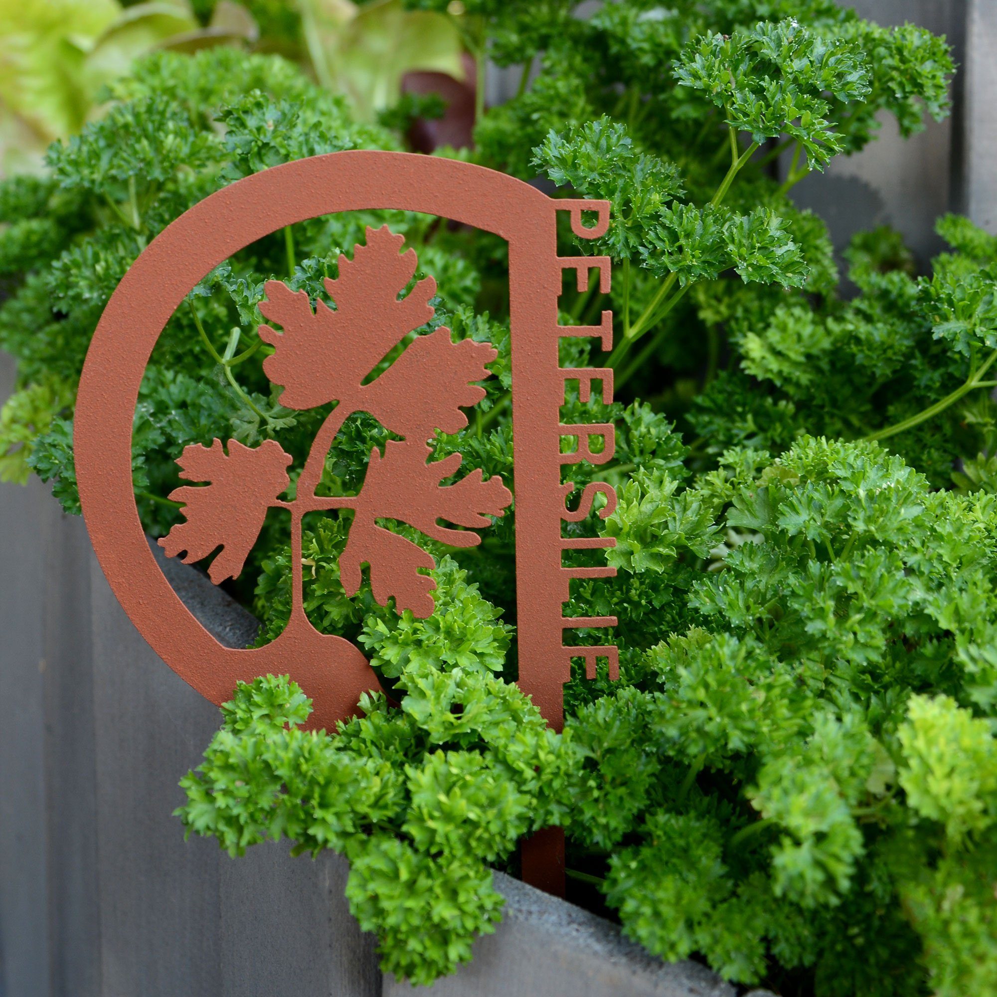 UNUS GARDEN Gartenstecker Kräuterstecker Rostoptik 10er Set Kräuter (10-St. günstig online kaufen
