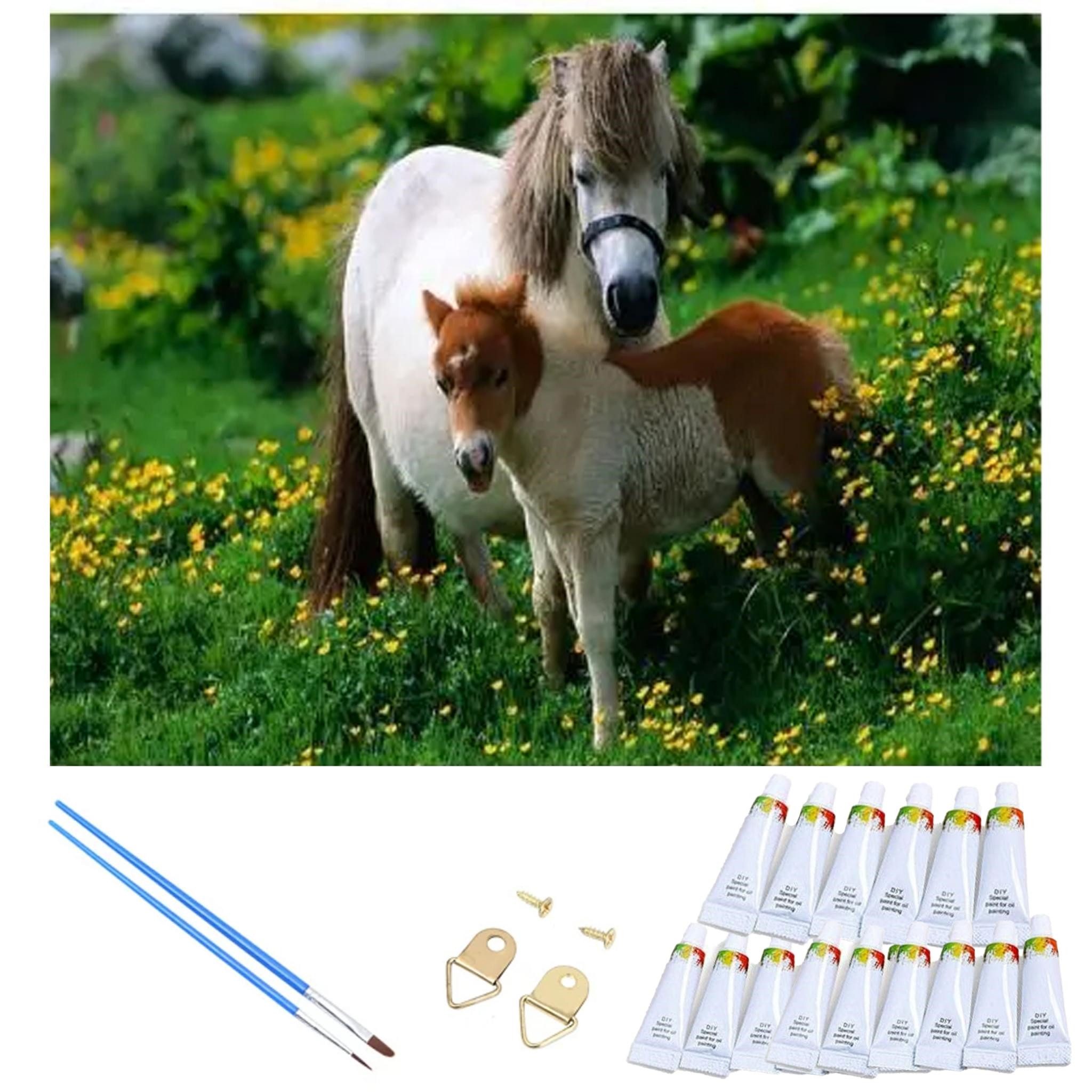 Realb2b Malen nach Zahlen XL Pony Malset – Kreatives Malen nach Zahlen mit Rahmen 40x50cm (Komplettes Malset: Kreatives Malen nach Zahlen mit Rahmen und Farben, Malen nach Zahlen Set: Leinwand 40x50cm, Acrylfarben, Pinsel, Rahmen), Pony Malset: Hochwertige Leinwand 40x50cm mit Acrylfarben & Rahmen