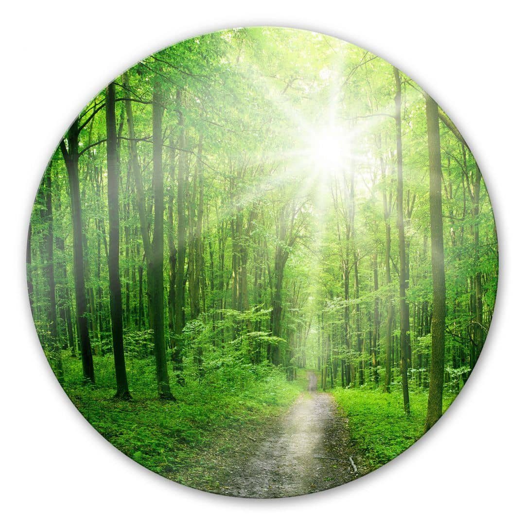 K&L Wall Art Glasbild Glas Wandbild Rund Glasbild sonniger Wald Natur Spaziergang, Wandschutz Deko Bilder