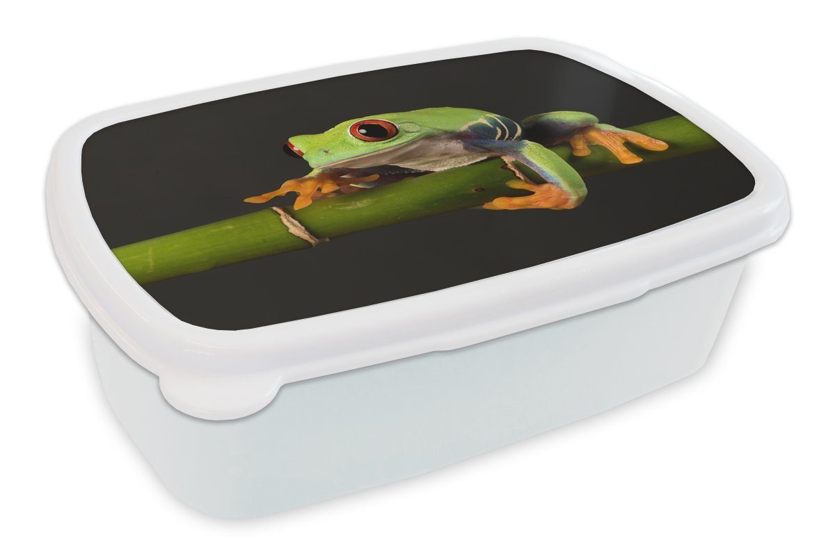 MuchoWow Lunchbox Frosch - Bambus - Schwarz, Kunststoff, (2-tlg), Brotbox für Kinder und Erwachsene, Brotdose, für Jungs und Mädchen weiß
