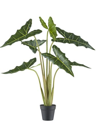  Kunstpflanze Alocasia zebrina sarian C...