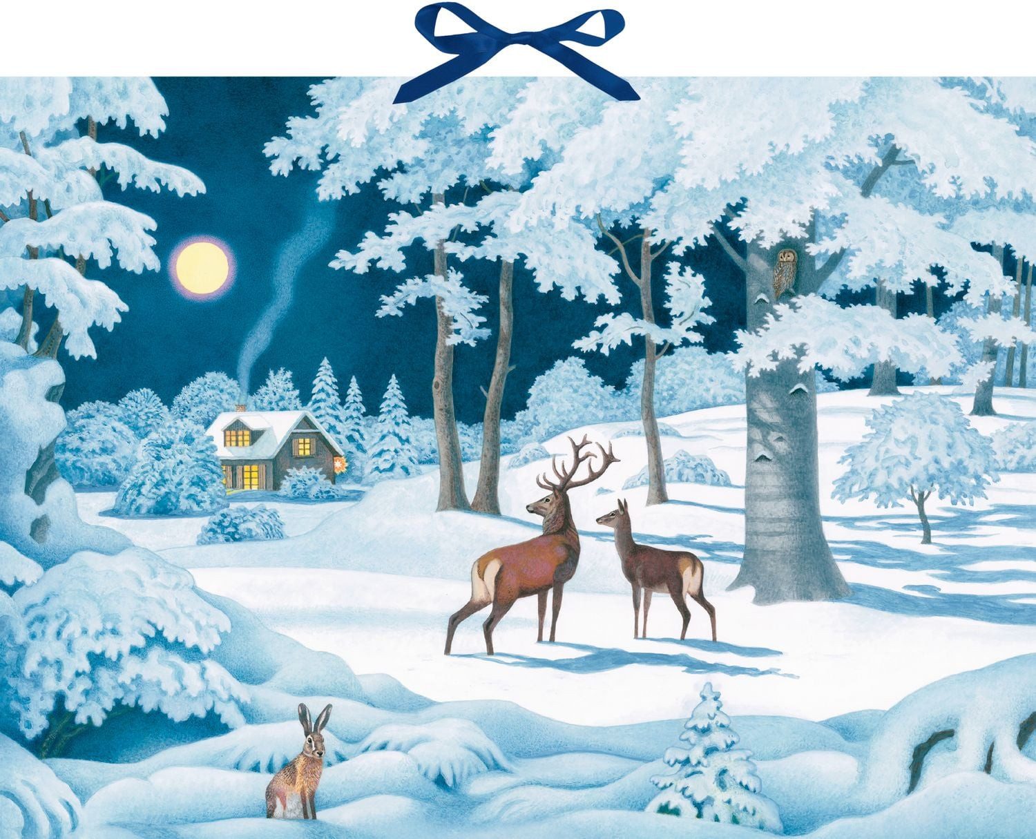 Coppenrath Tierkalender Wand-Adventskalender – Wintertiere bei Nacht