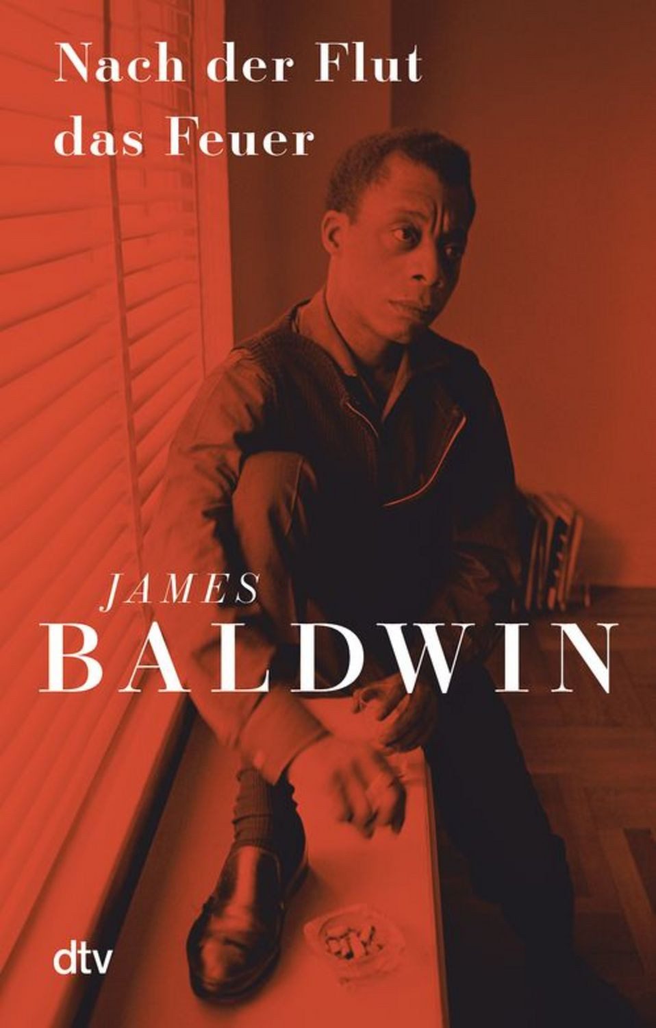 Nach der Flut das Feuer / James Baldwin