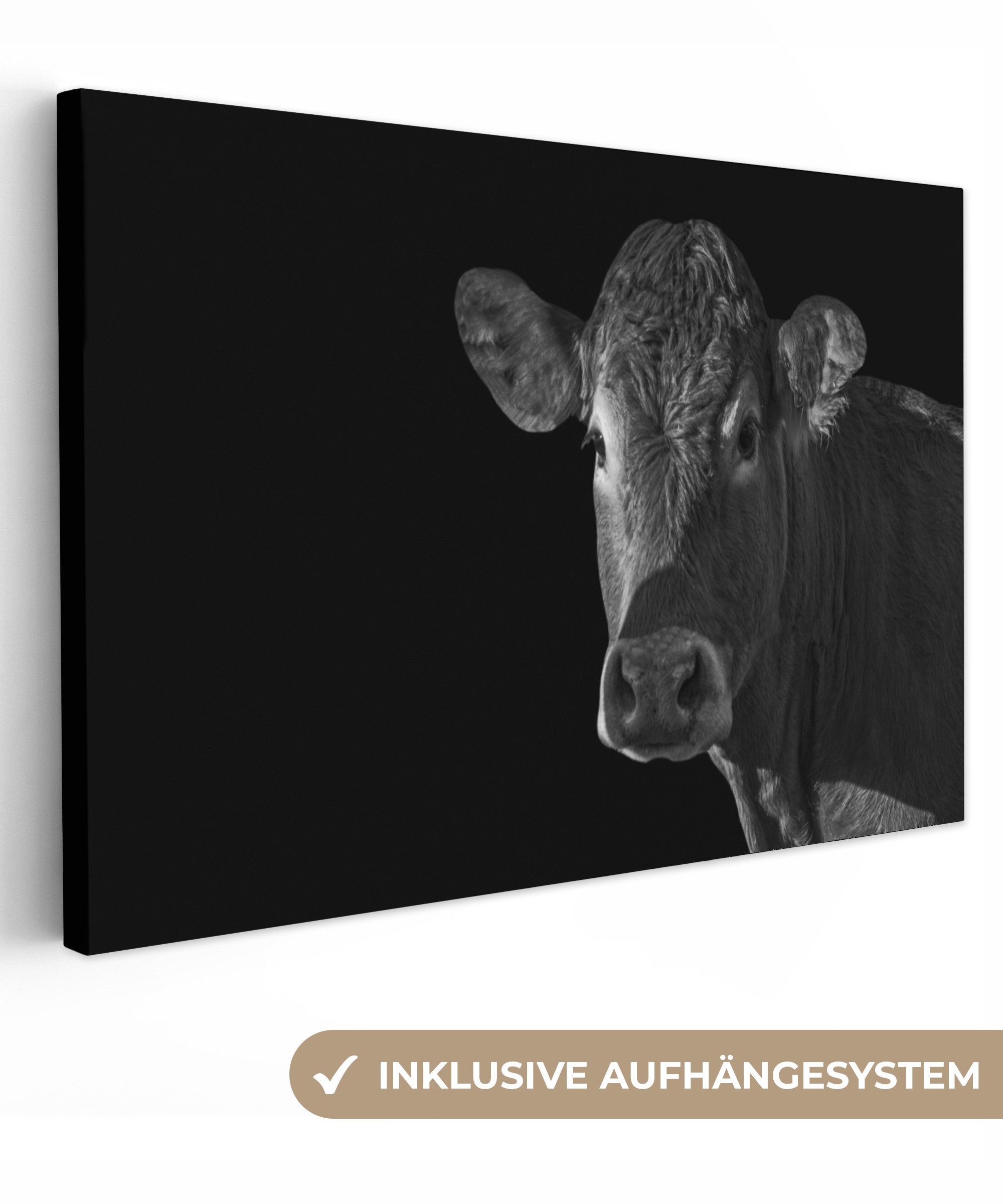OneMillionCanvasses® Leinwandbild Kuh - Tiere - günstig online kaufen