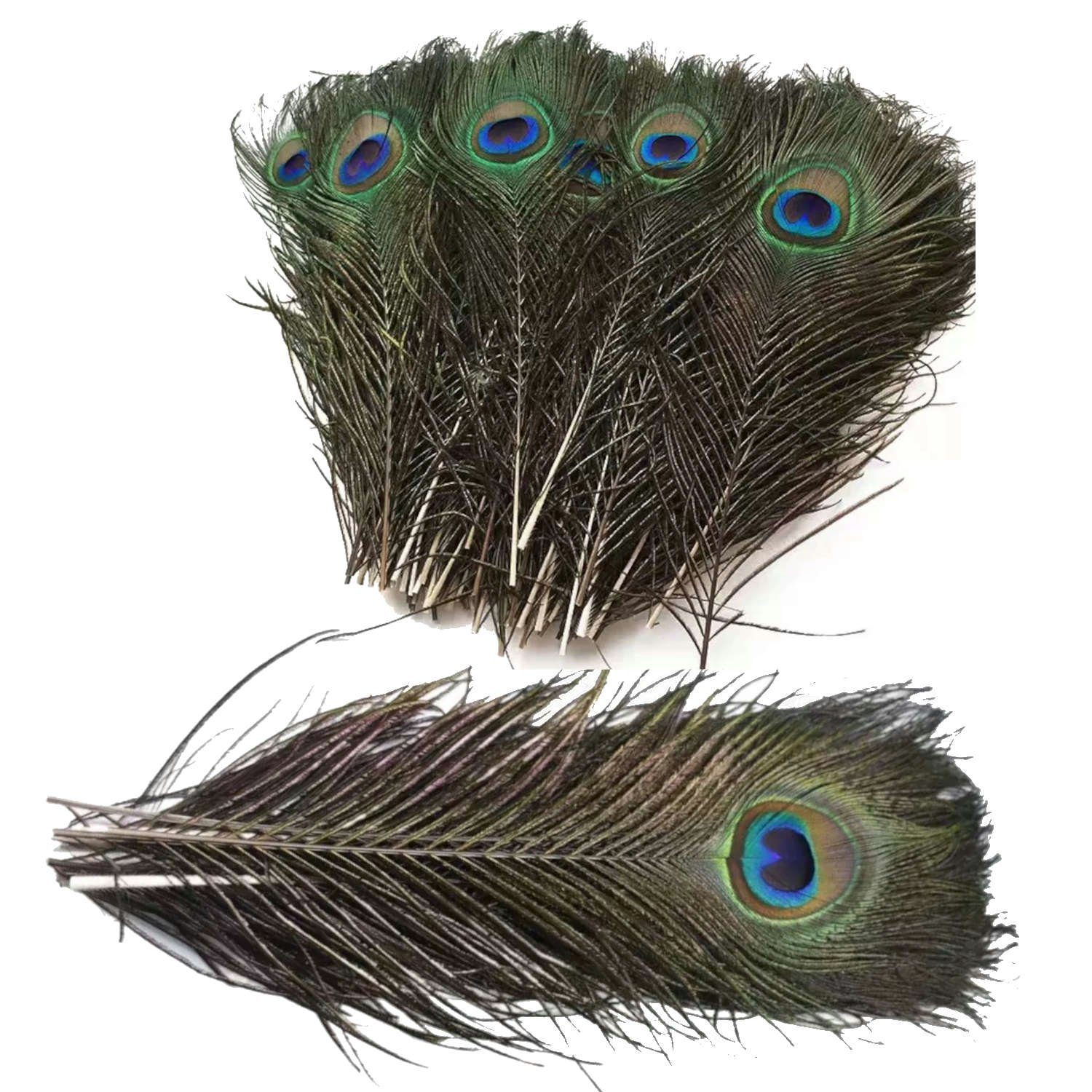 Kopper-24 Styropor-Tier Federn Pfauenfedern, ca. 25-30 cm, 5 Stück, 25 bis 30 cm