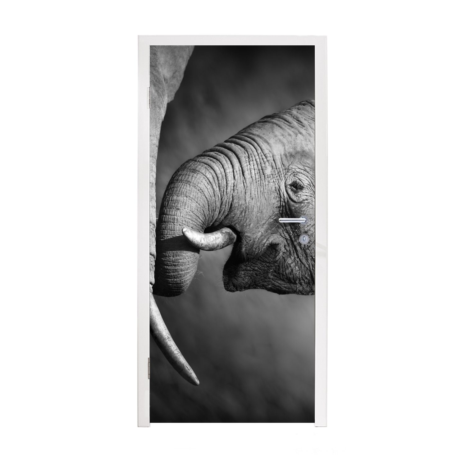 MuchoWow Türtapete Wildtiere - Elefant - Schwarz - Weiß - Porträt, Matt, bedruckt, (1 St), Fototapete für Tür, Türaufkleber, 75x205 cm