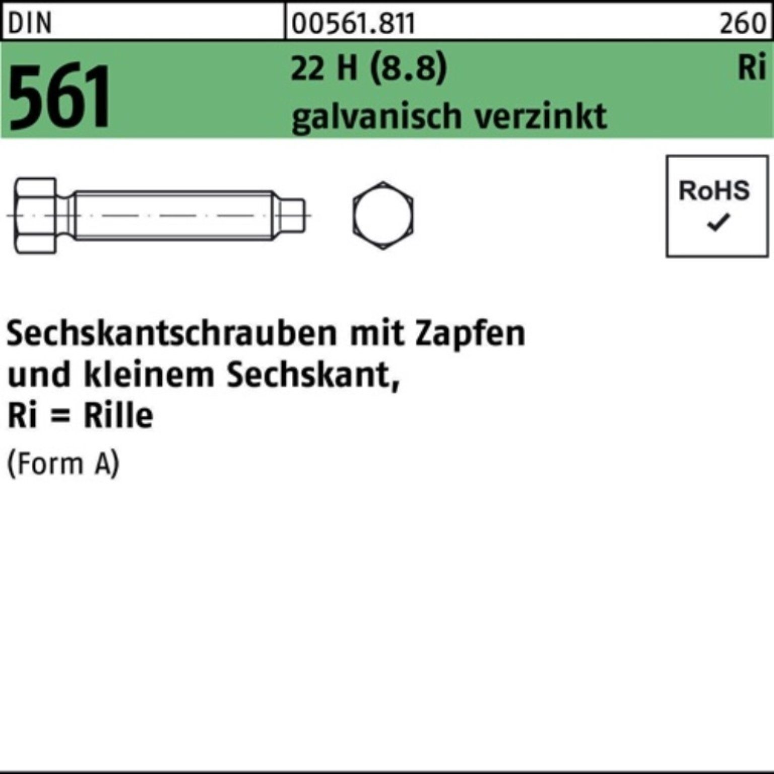 Reyher Sechskantschraube 100er Pack 561 galv. 16x100 Sechskantschraube H AM 22 Zapfen DIN (8.8)