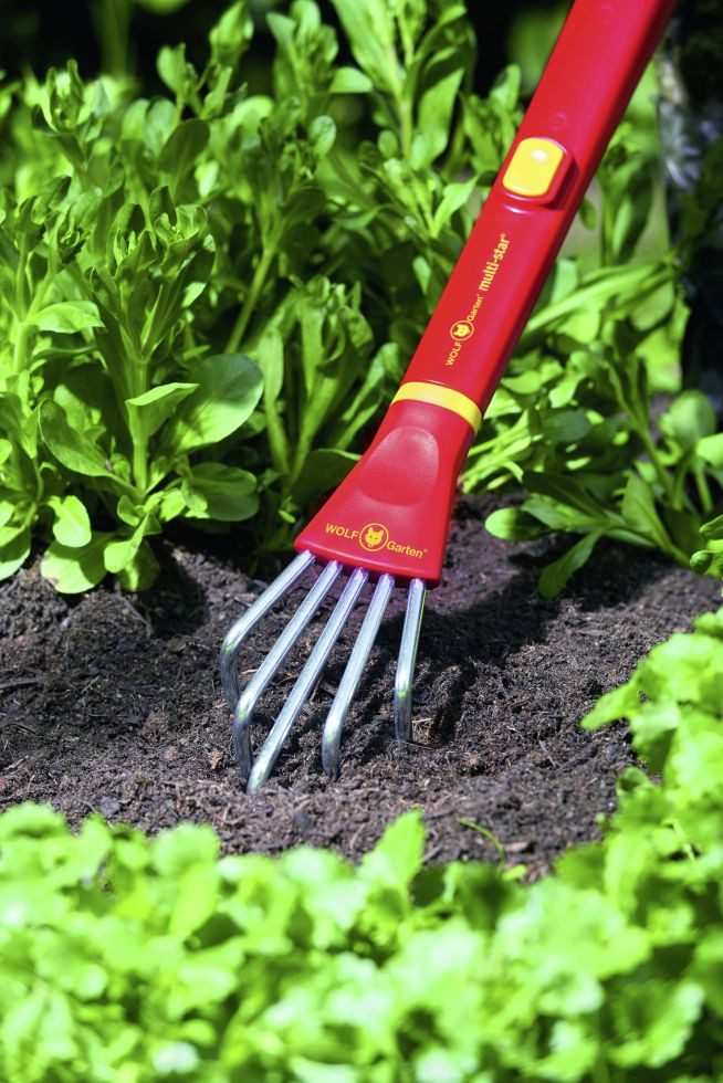 WOLF-Garten Unkrautstecher Wolf Garten Kralle LF-M 6,5 cm Arbeitsbreite