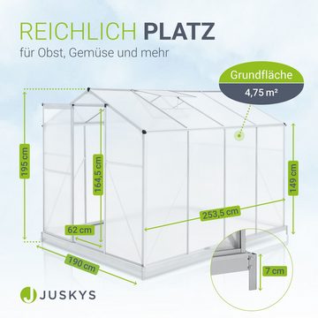 Juskys Gewächshaus GH250F1, BxTxH: 190 x 253 x 195 cm, 4 mm Wandstärke, 4,75 m², Dachfenster, stabile Aluminiumprofile, Hohlkammerplatten