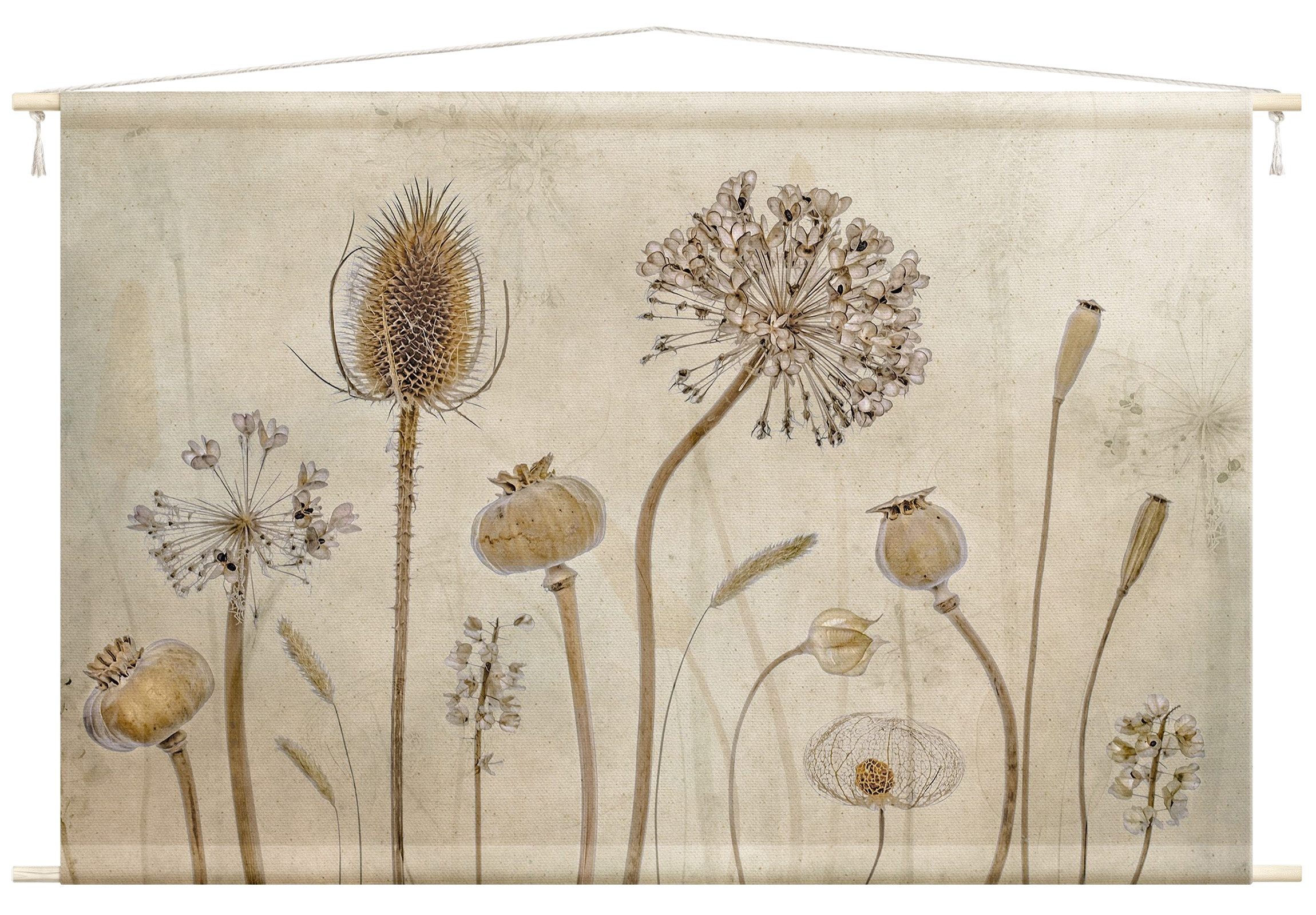 Bilderdepot24 Wandteppich modern Vintage Botanik beige, rechteckig, Höhe: 2 günstig online kaufen