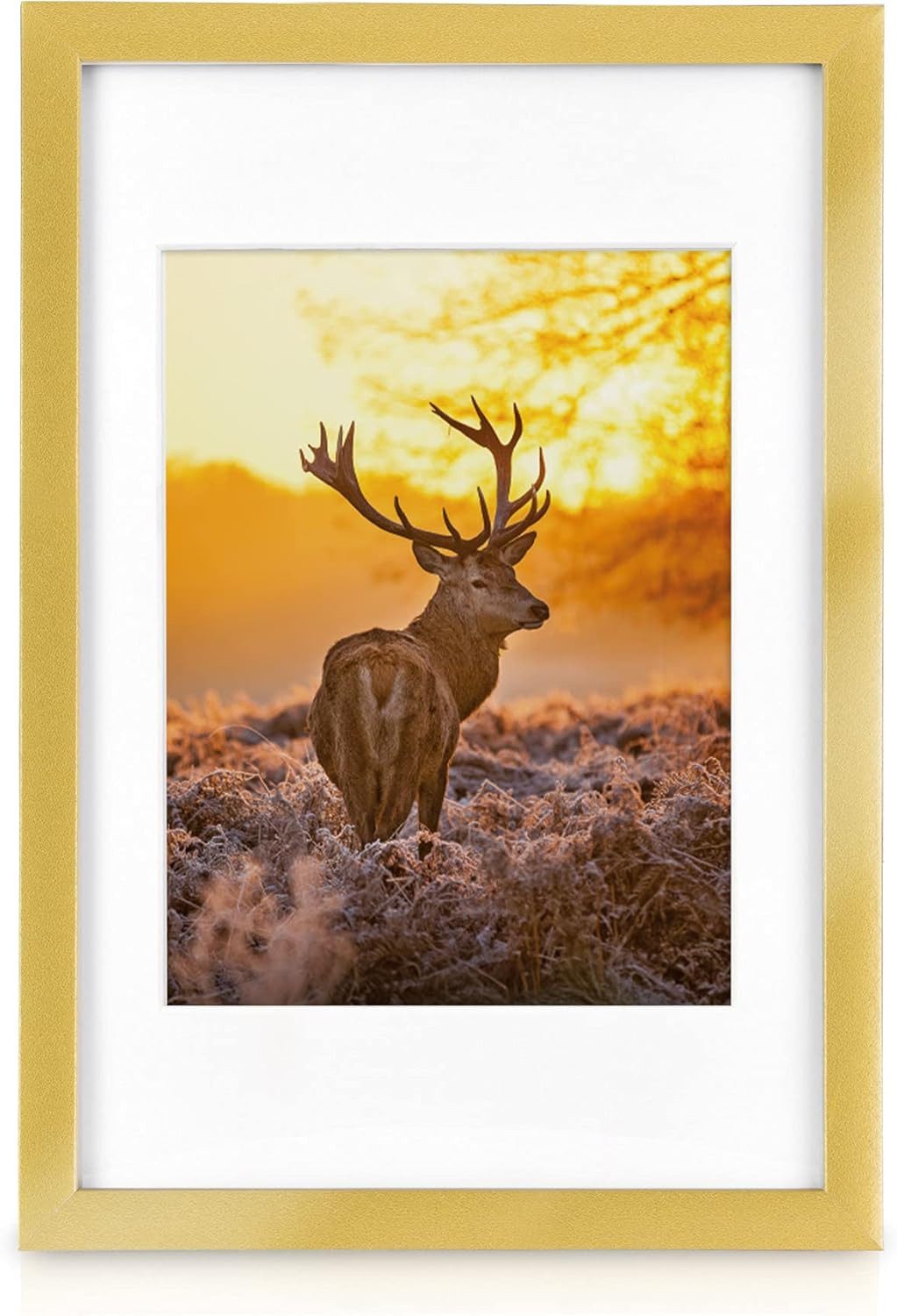 bomoe Bilderrahmen 18er Bilderrahmen Set Passion, Fotowand Bilder, Gold, 6x 10x15 cm, 4x 13x18 cm, 4x 18x24 cm, 4x 20x30 cm mit Passepartout