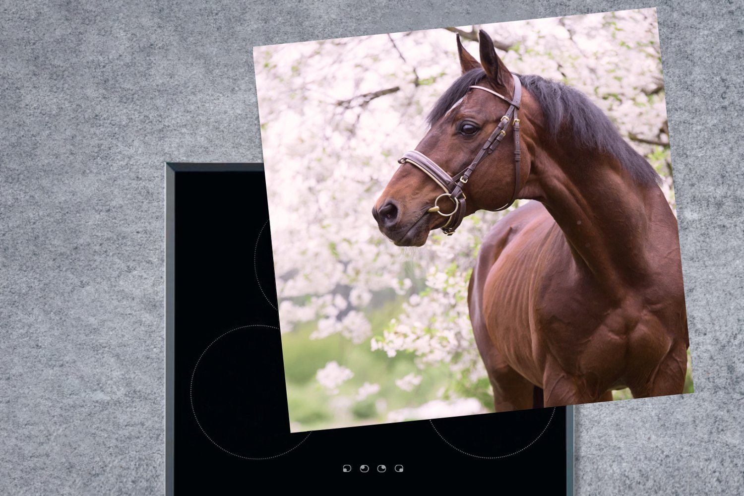 Sakura MuchoWow Arbeitsplatte tlg), - Pferd Vinyl, 78x78 cm, (1 Halfter, küche - Herdblende-/Abdeckplatte für Ceranfeldabdeckung,