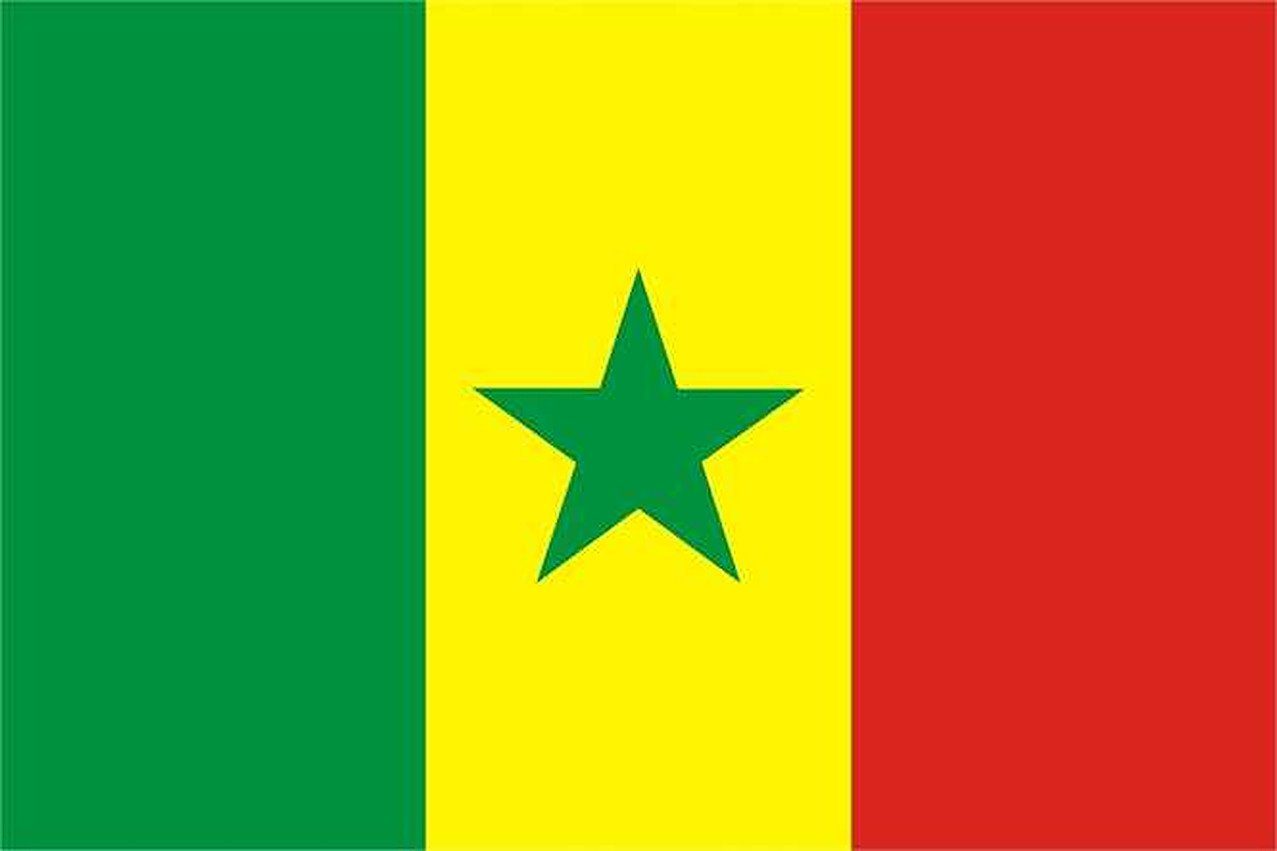 150 XXL Flagge trends4cents cm Senegal x Flagge 250
