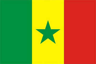 trends4cents Flagge XXL Flagge Senegal 250 x 150 cm