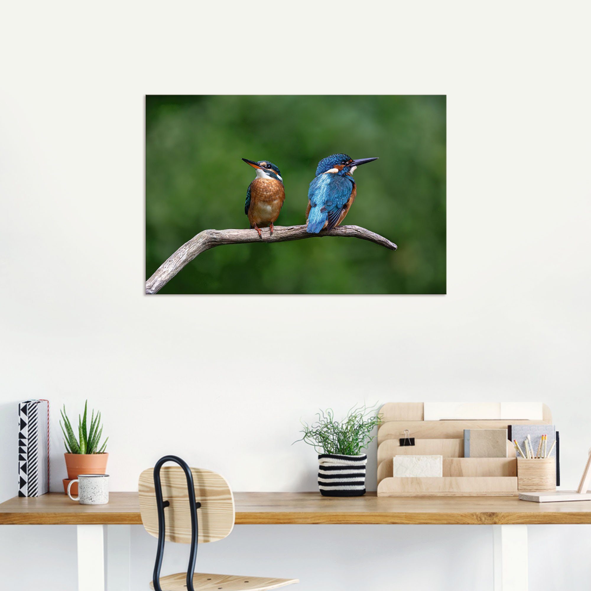 oder (1 Leinwandbild, versch. Alubild, Artland Poster als Vogelbilder Wandaufkleber Wandbild Zwei St), Größen Eisvogel, in