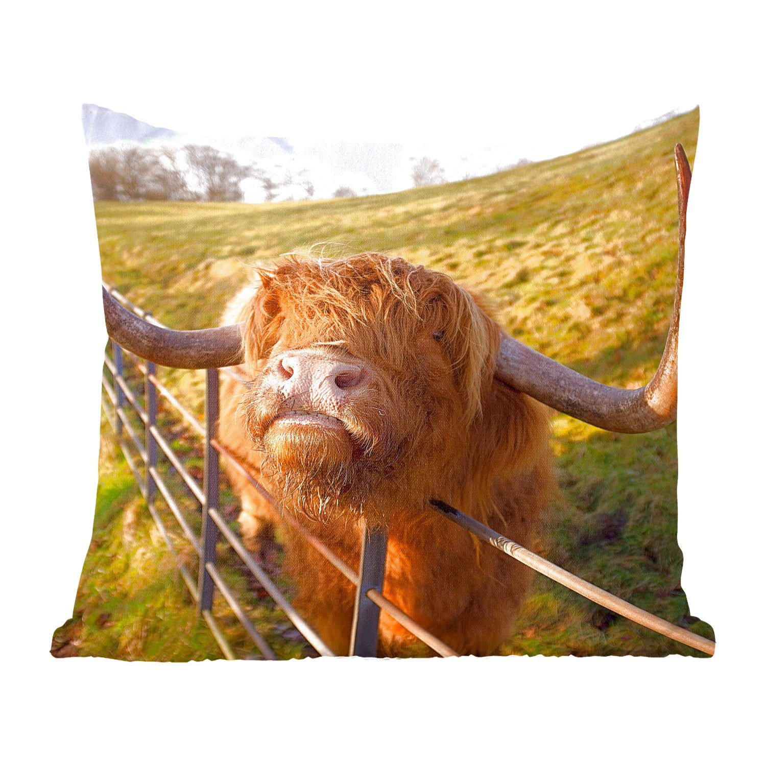 MuchoWow Dekokissen Scottish Highlander - Zaun - Gras, Zierkissen mit Füllung für Wohzimmer, Schlafzimmer, Deko, Sofakissen