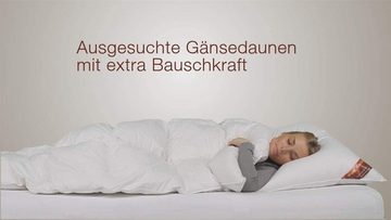 Gänsedaunenbettdecke, Daunen-Federn Winter Bettdecke extrawarm, daunen-federn.de, Füllung: 100 % neue Gänsedaunen, für Allergiker geeignet