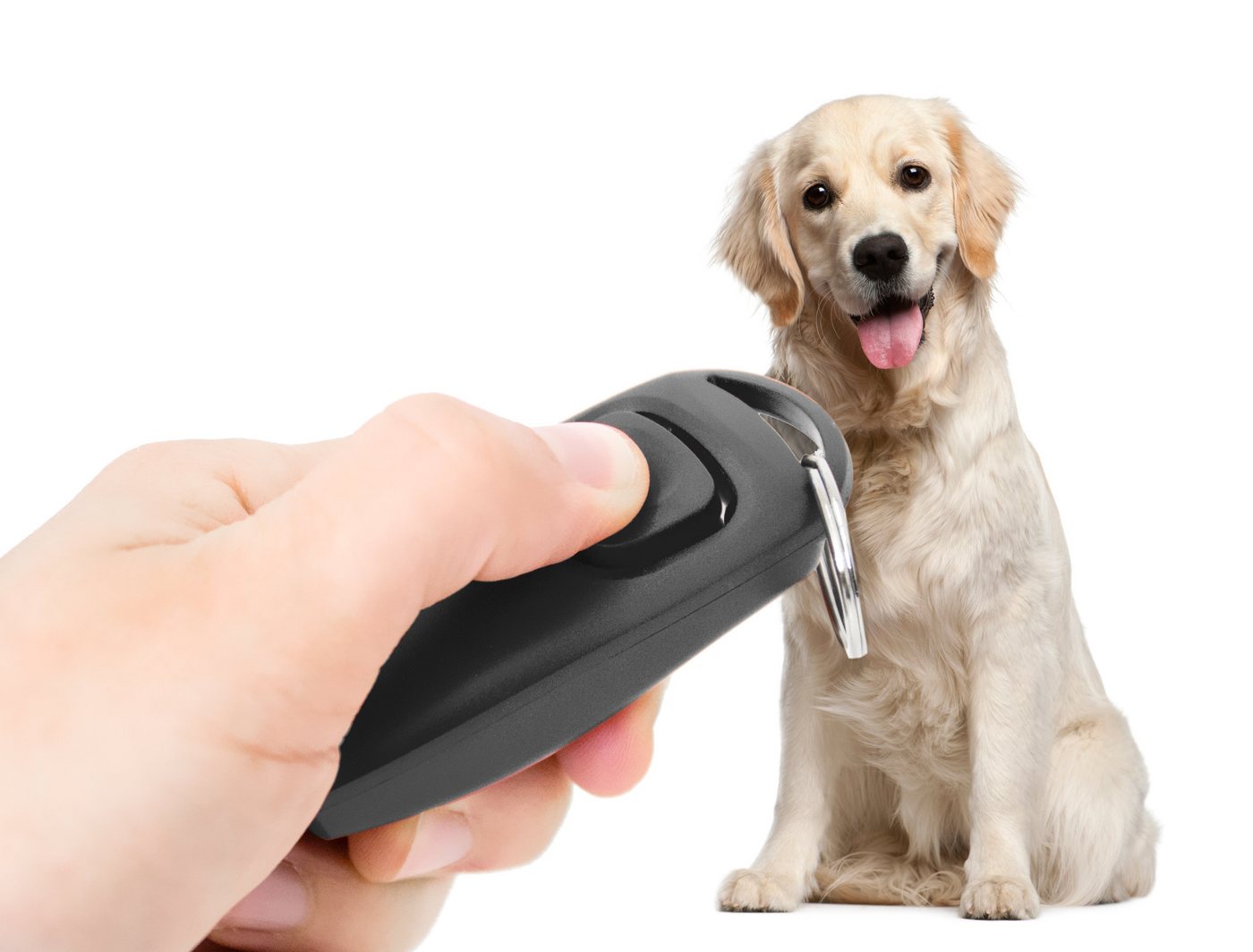 Thumbnail - PRECORN Tier-Clicker 2in1 Klicker und Hundepfeife Hunde Clicker Pfeife Hunderziehung, Kunststoff
